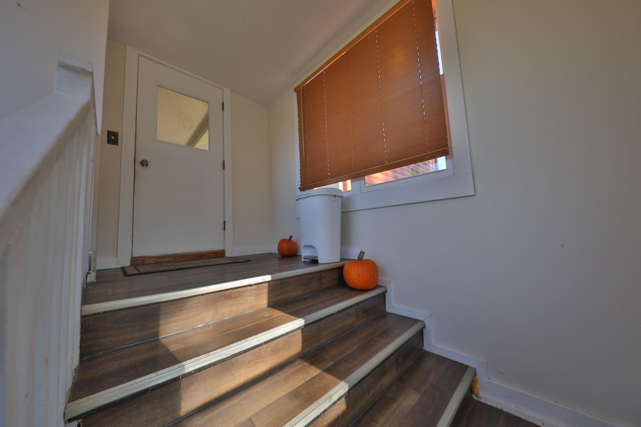301 Raymond Street