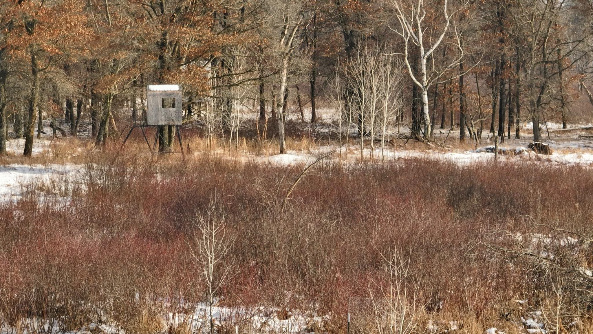 000 County Road O