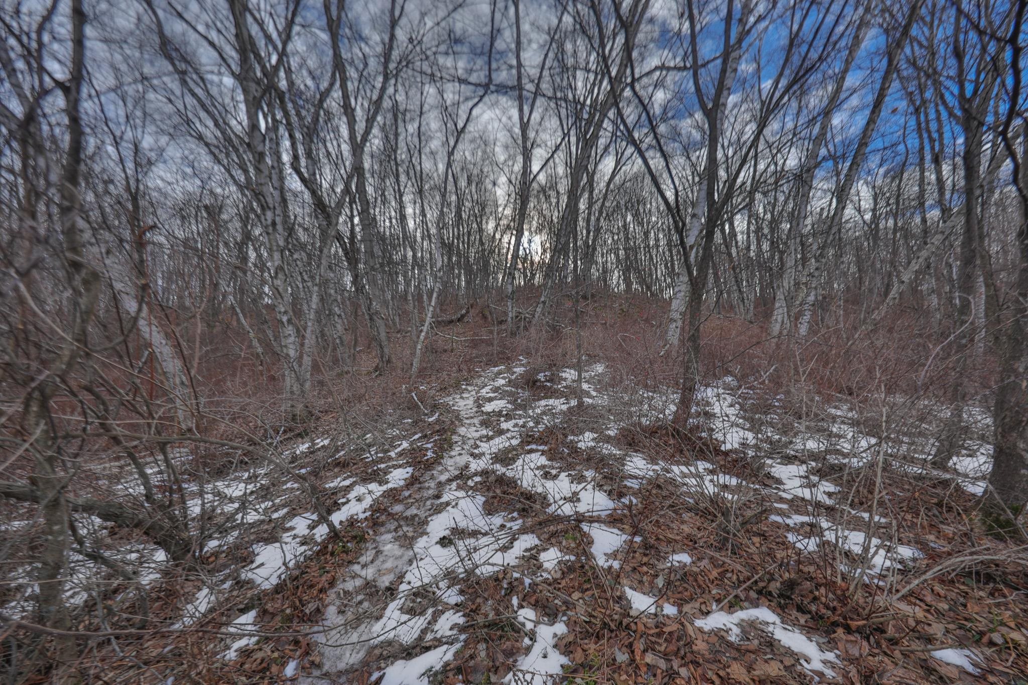 0 Berry Hill Road