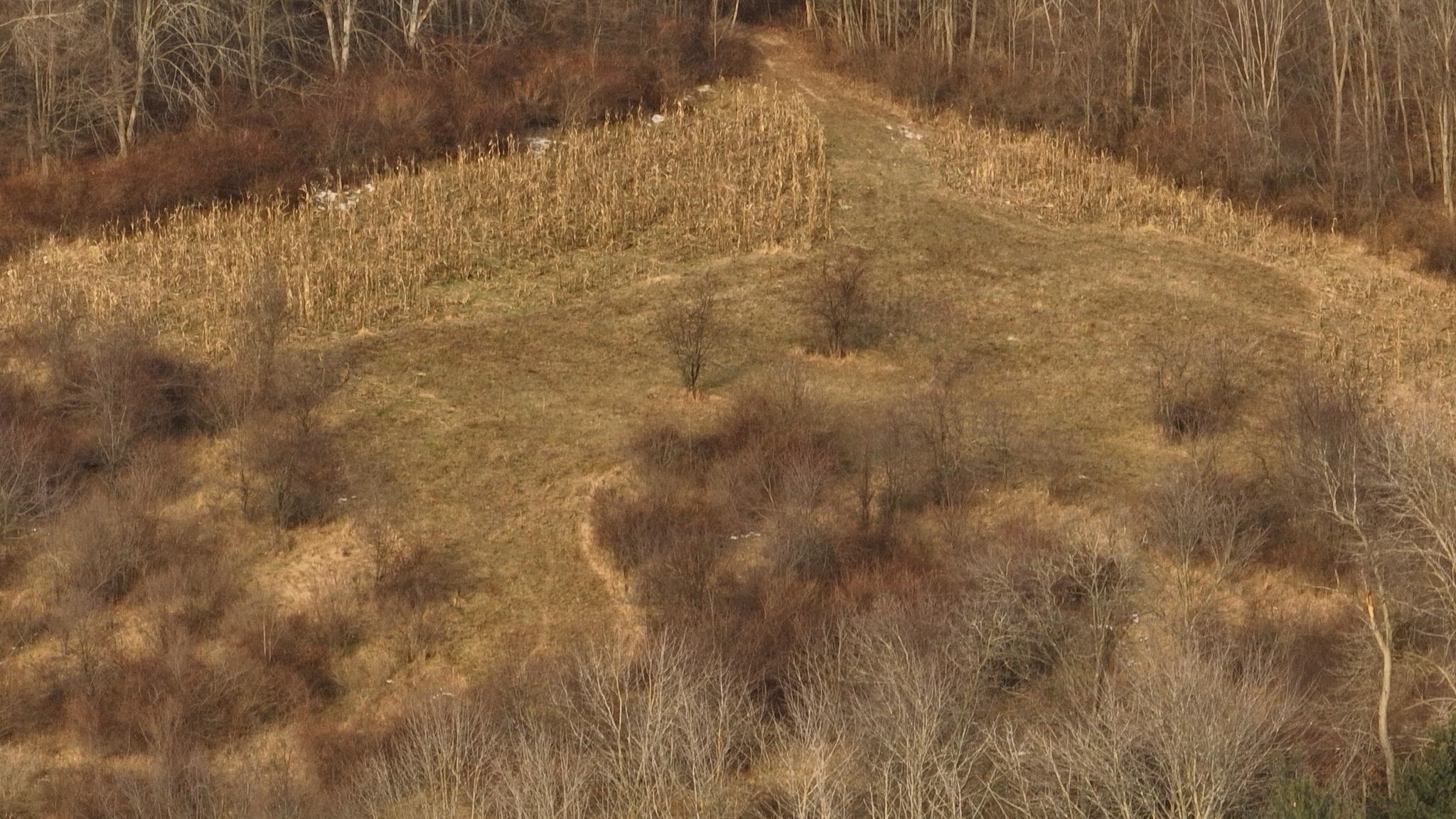 0 Berry Hill Road