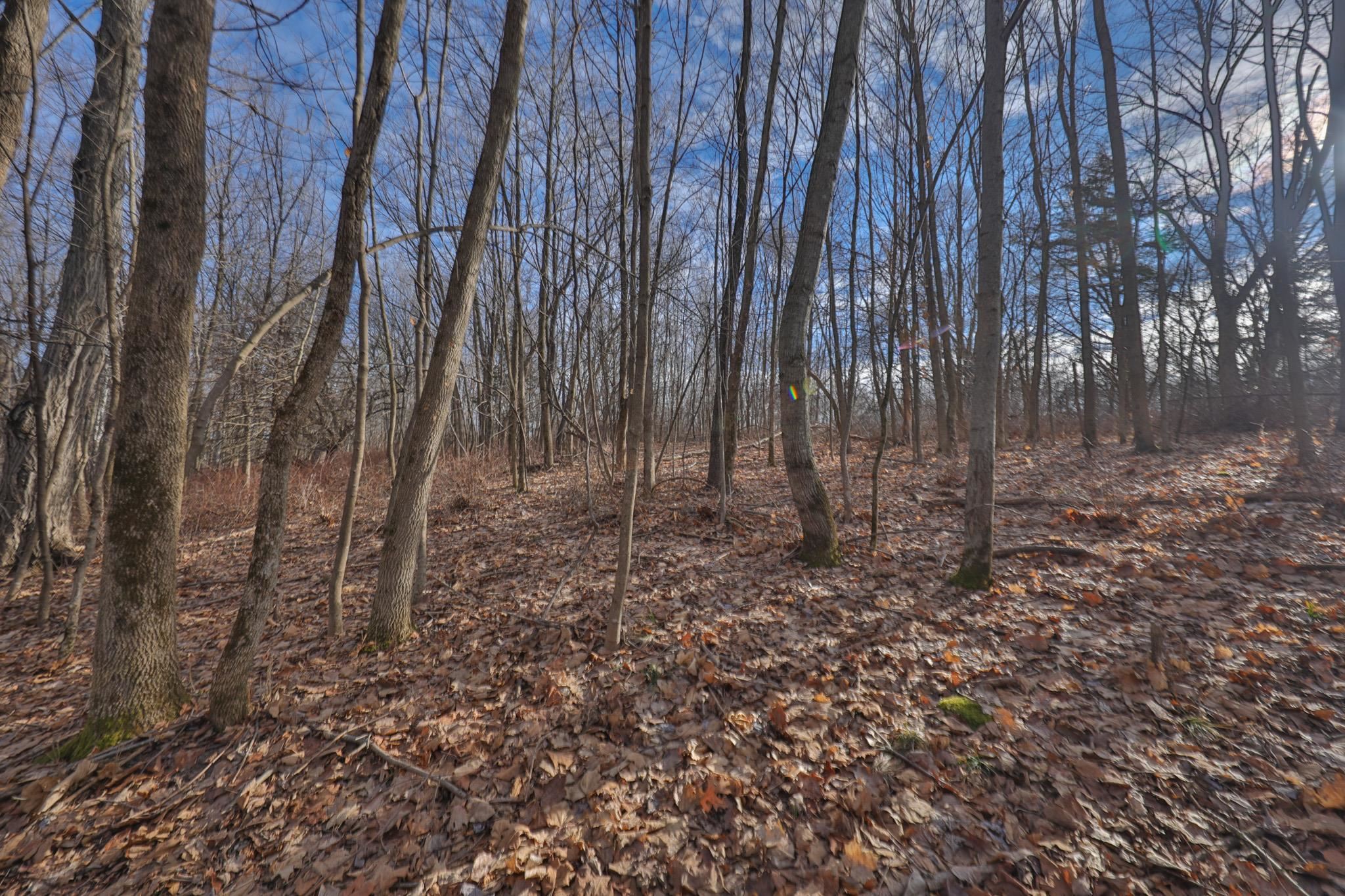 0 Berry Hill Road