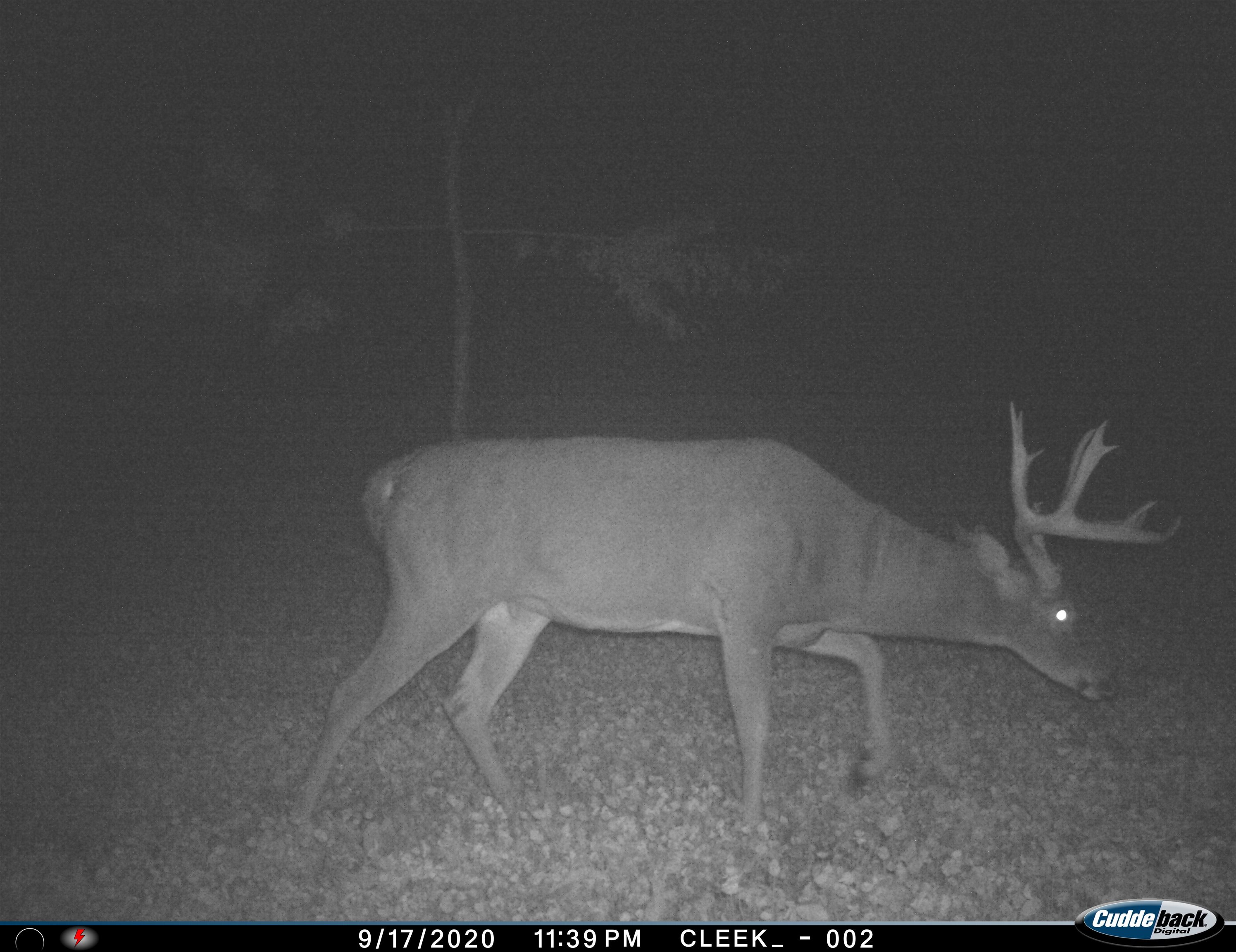 00 Wheat Hollow Road
