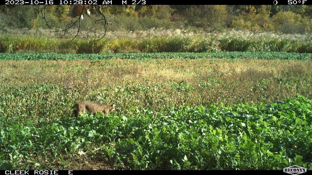 00 Wheat Hollow Road