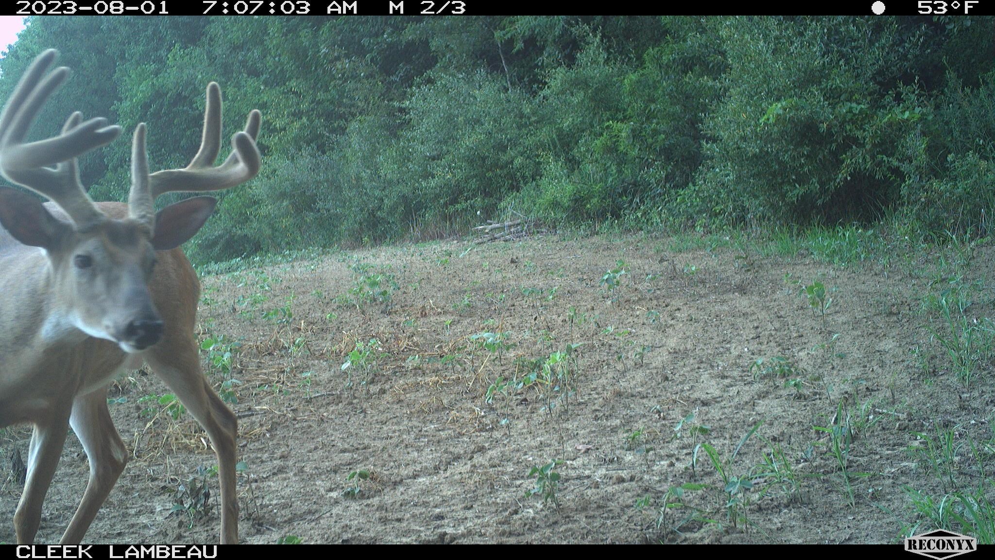 00 Wheat Hollow Road