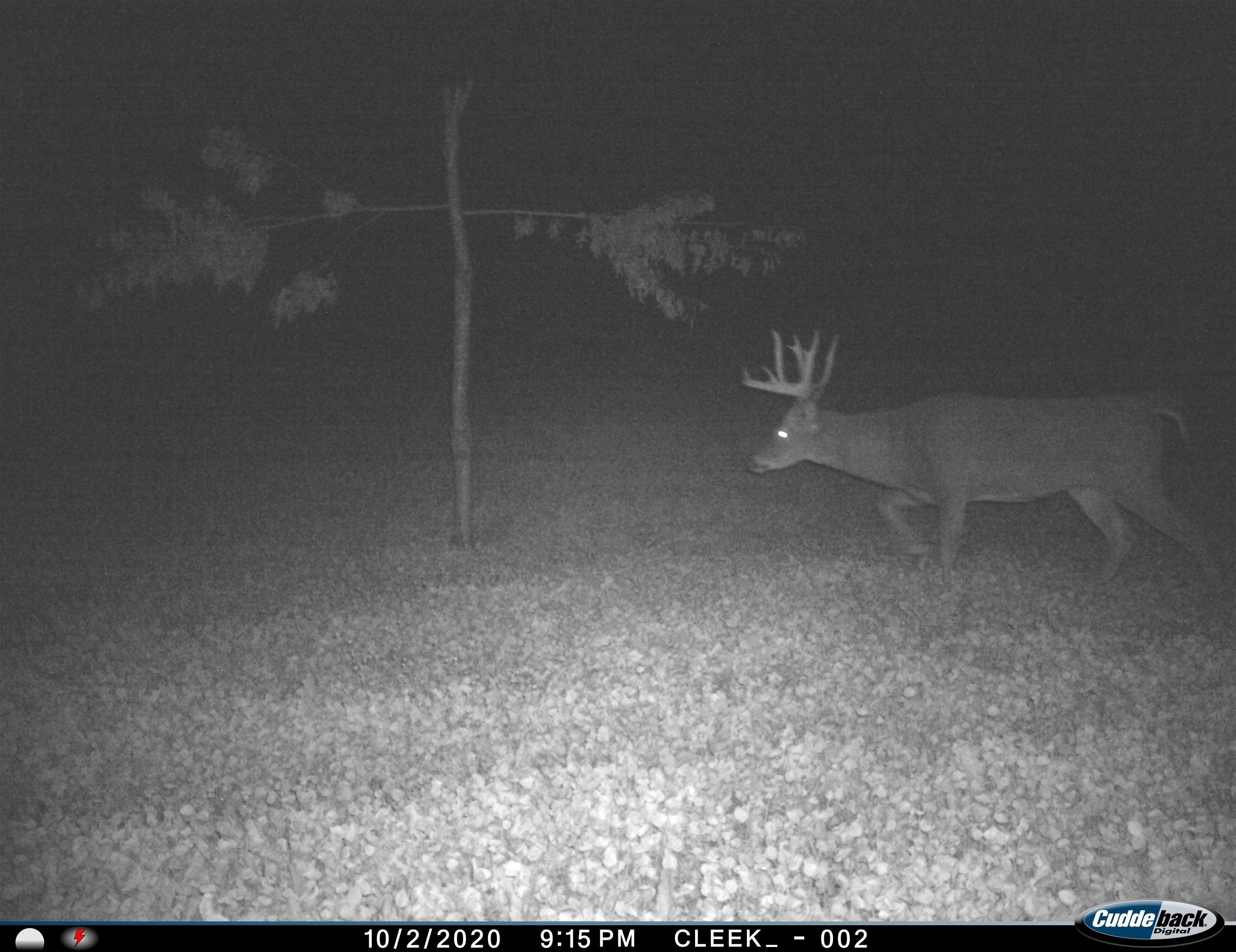 00 Wheat Hollow Road