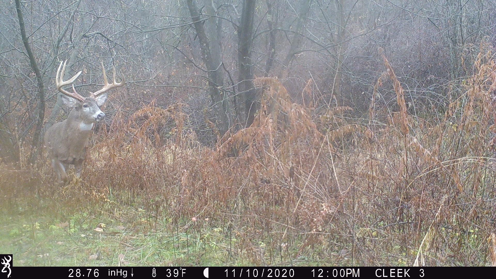00 Wheat Hollow Road