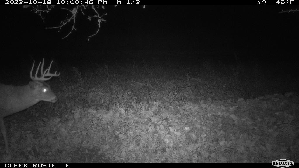 00 Wheat Hollow Road