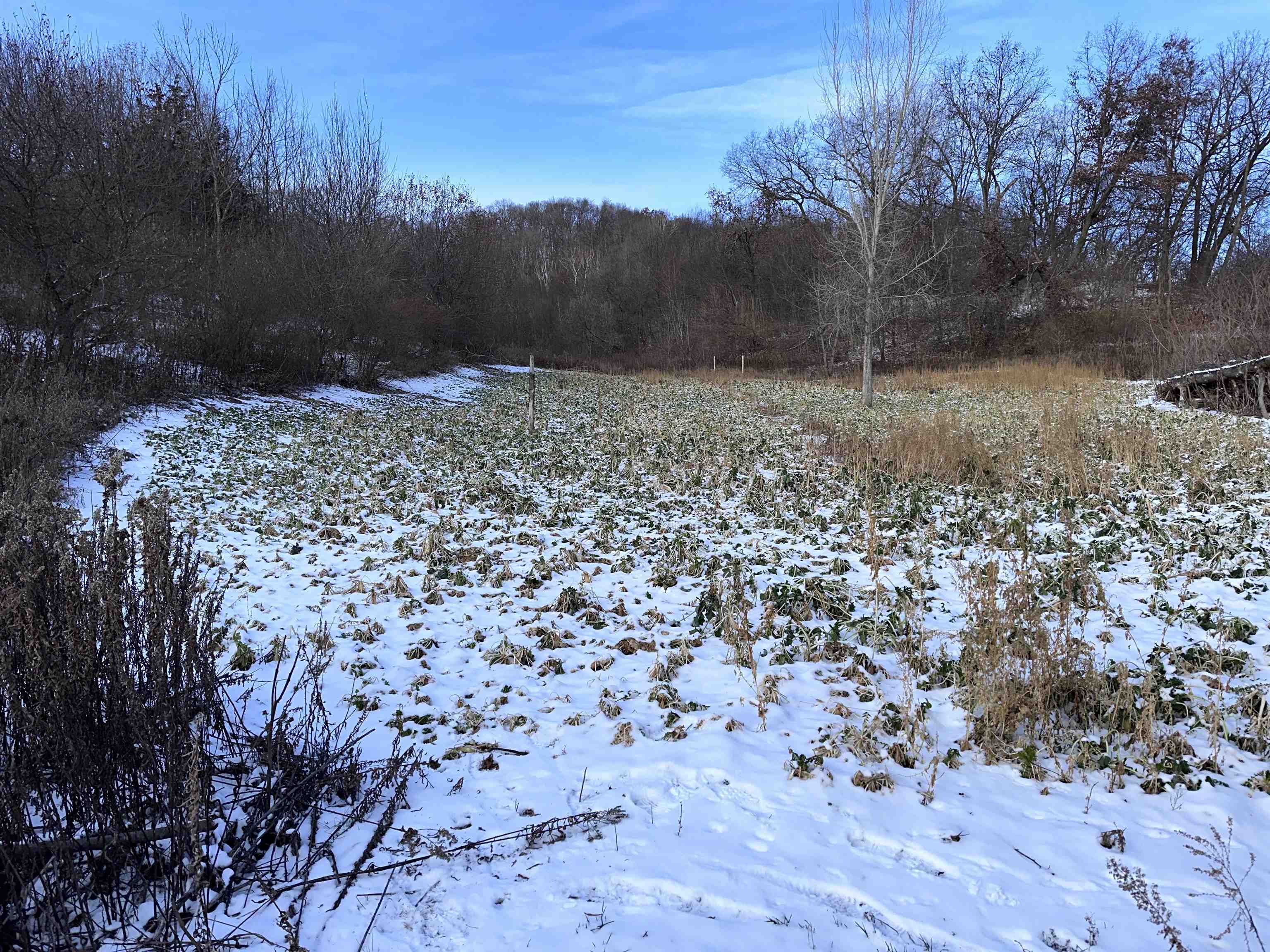 00 Wheat Hollow Road