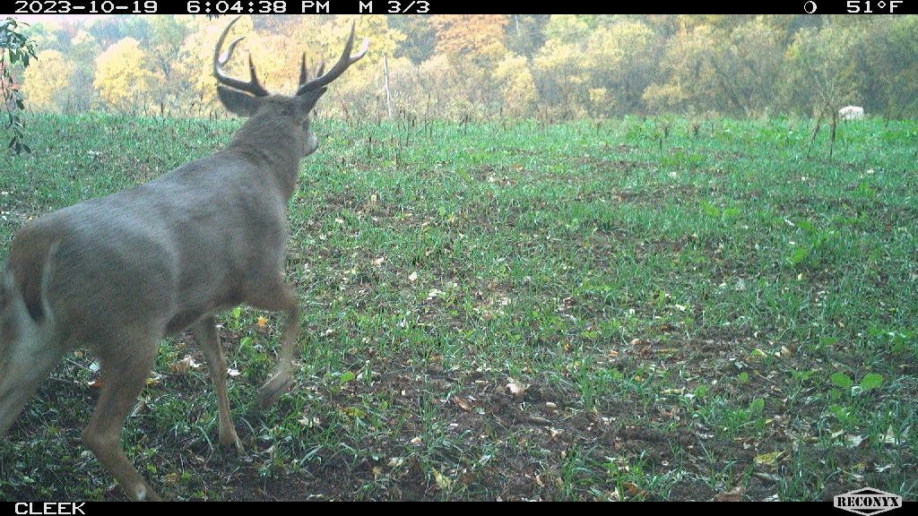 00 Wheat Hollow Road