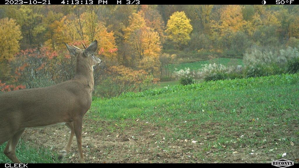 00 Wheat Hollow Road