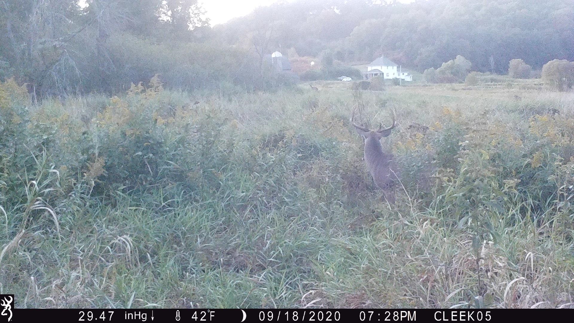 00 Wheat Hollow Road