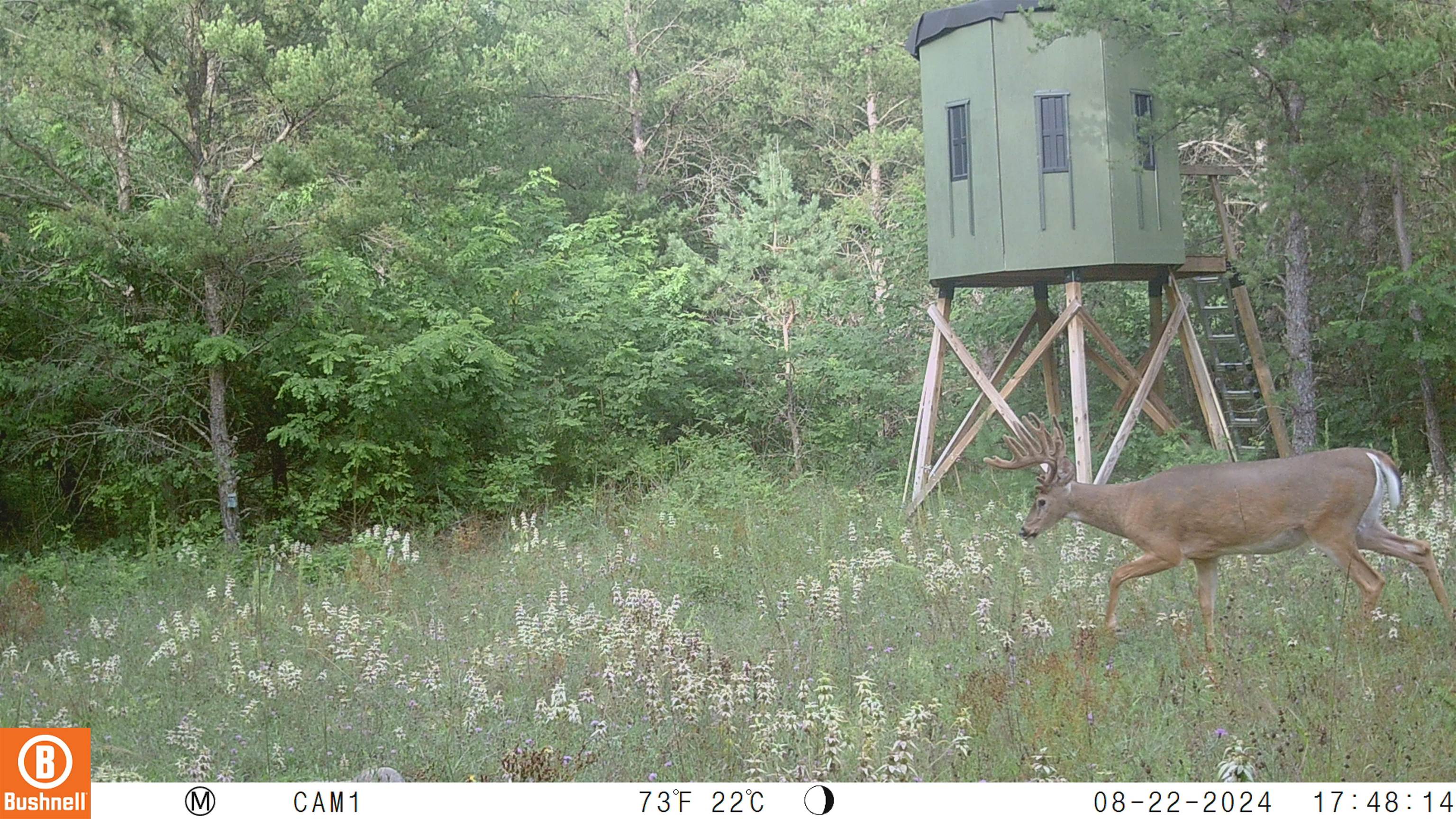 342 Dyke Avenue