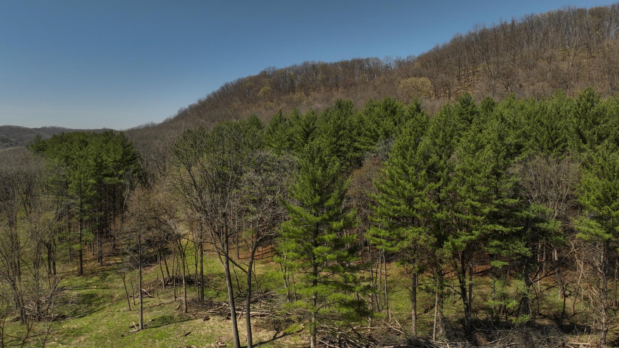 17658 Forest Lane