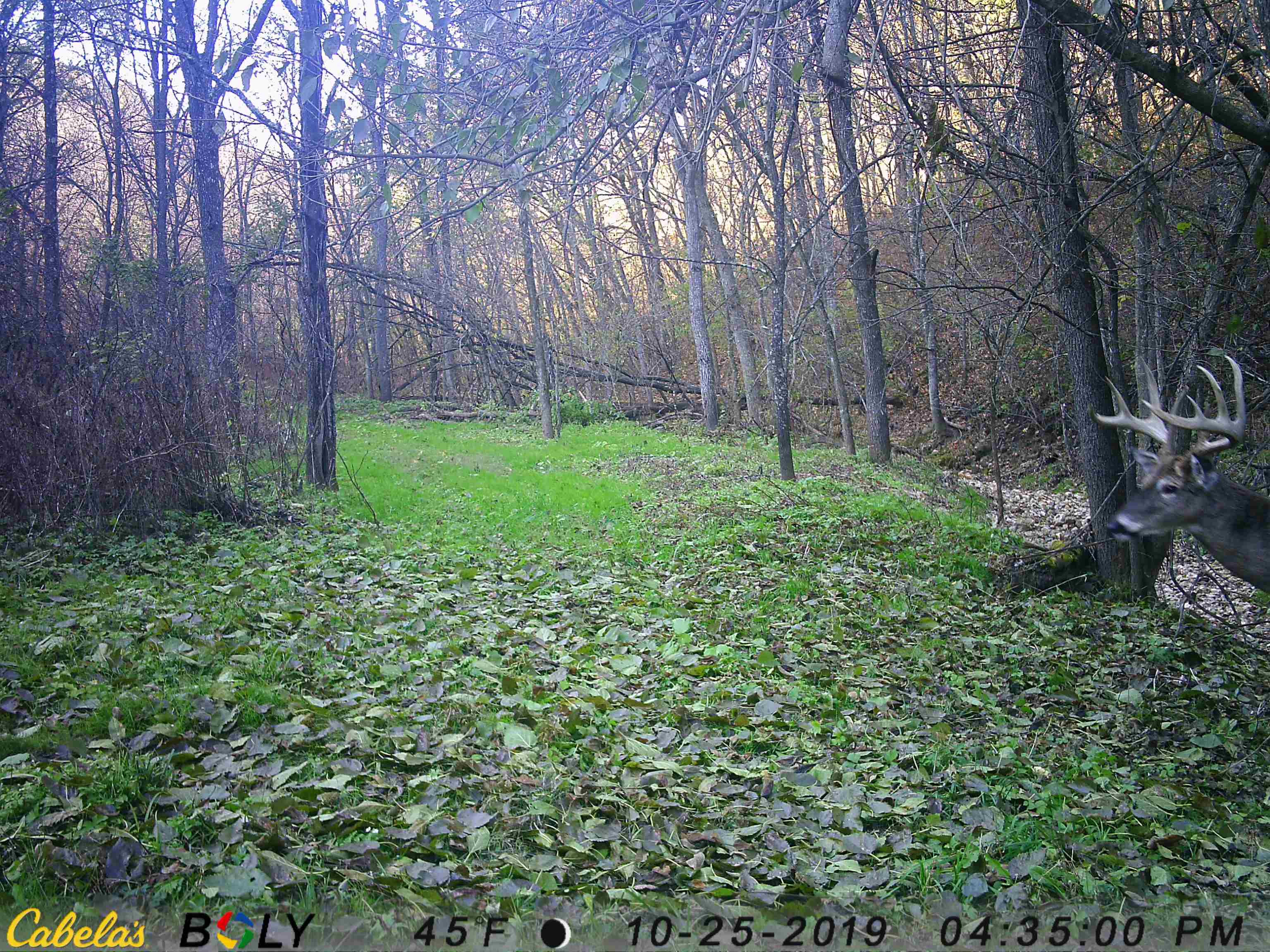 23958 Brown Ridge Road