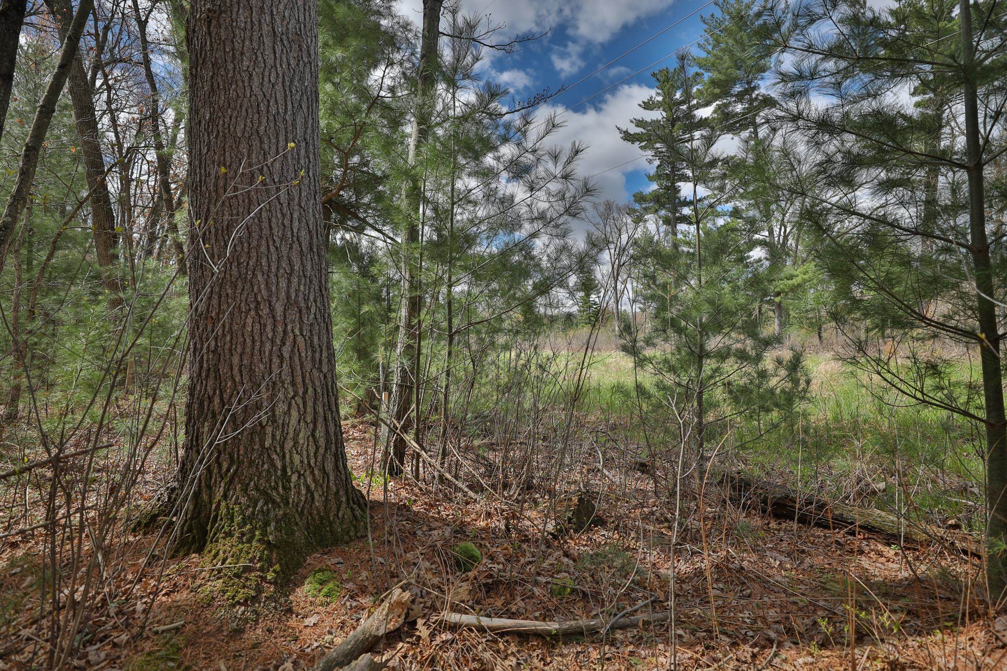 Lot 1 Grayling Avenue