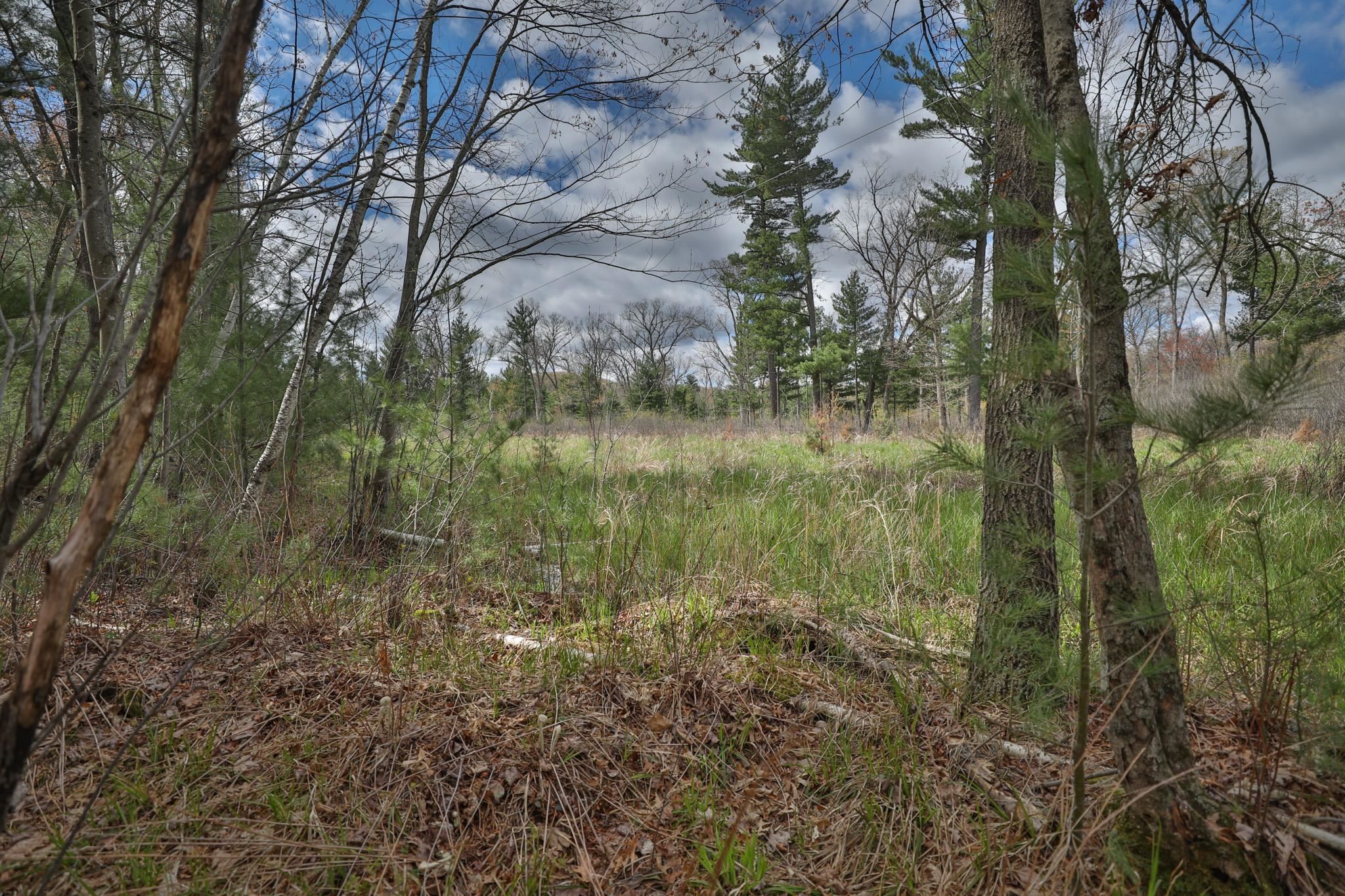 Lot 1 Grayling Avenue