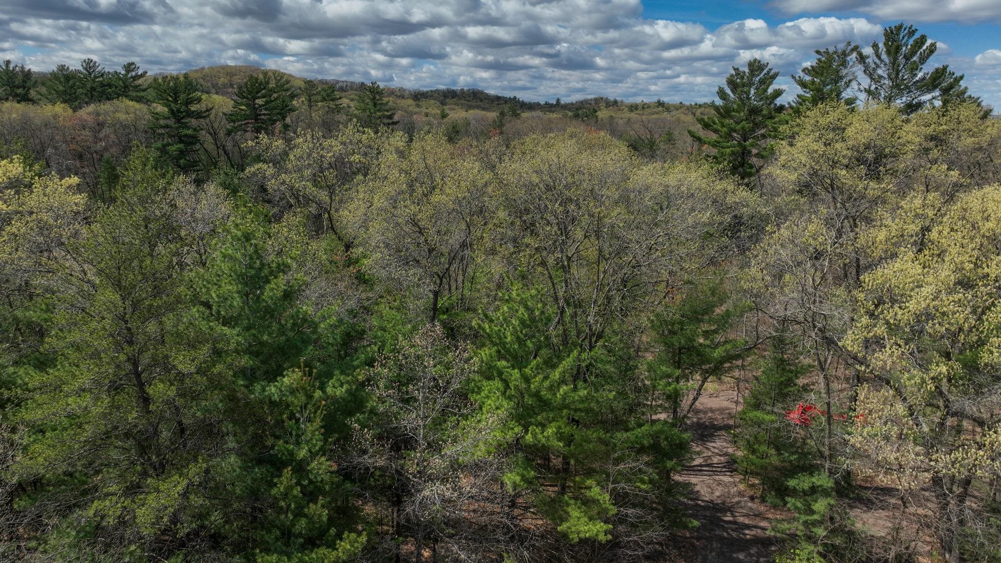 Lot 1 Grayling Avenue