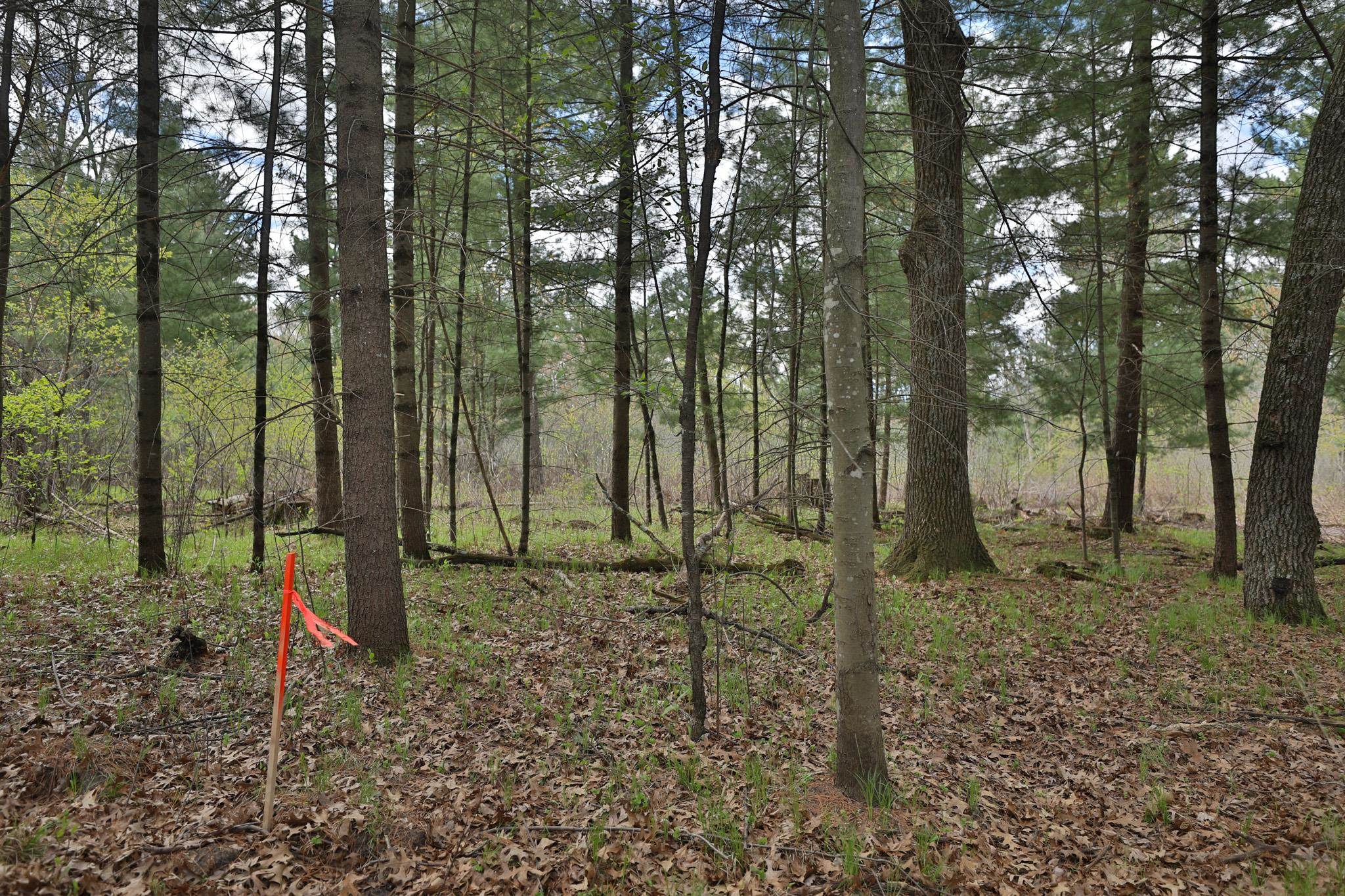 Lot 1 Grayling Avenue