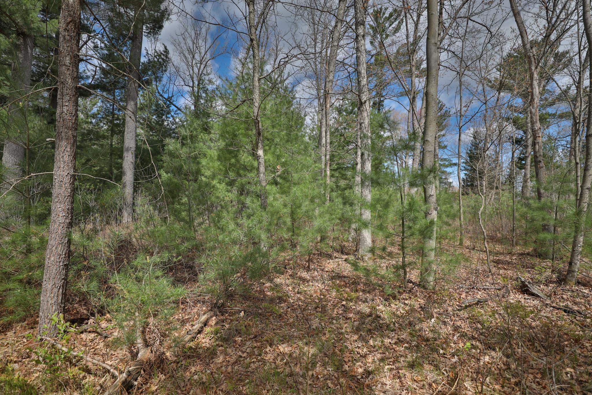 Lot 1 Grayling Avenue