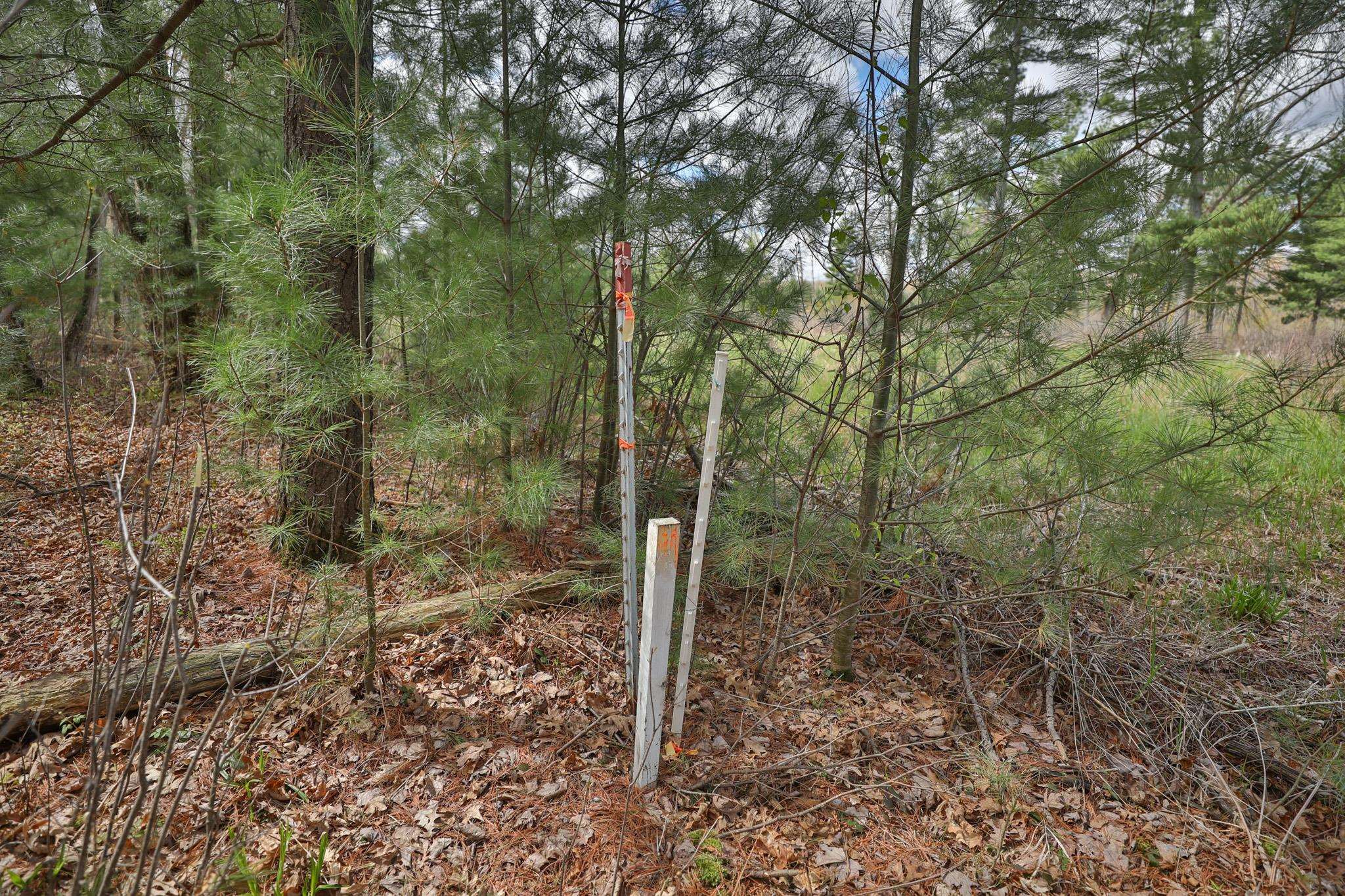 Lot 1 Grayling Avenue