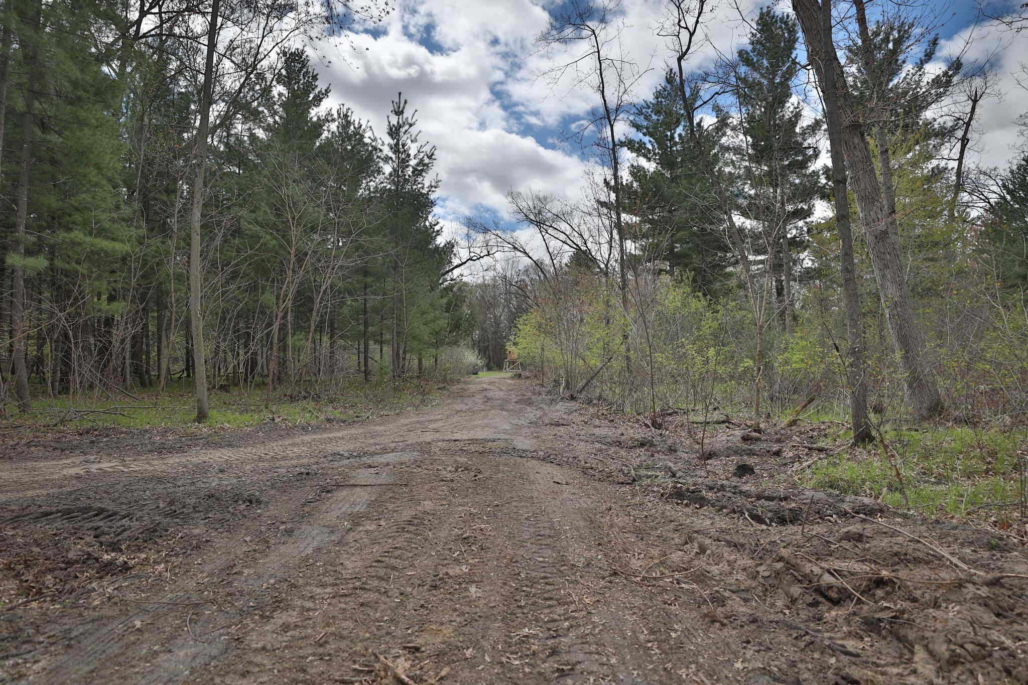 Lot 1 Grayling Avenue