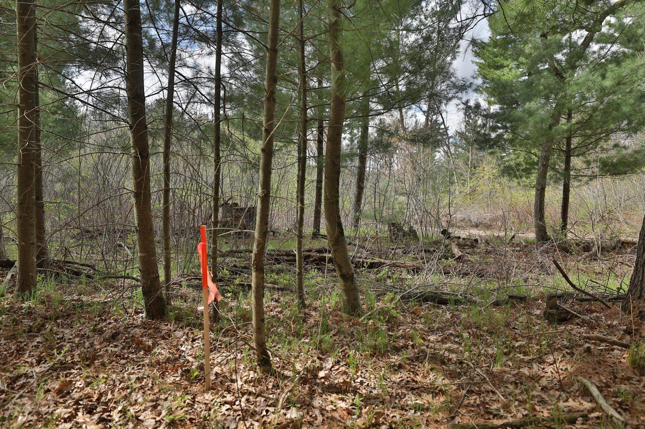 Lot 1 Grayling Avenue
