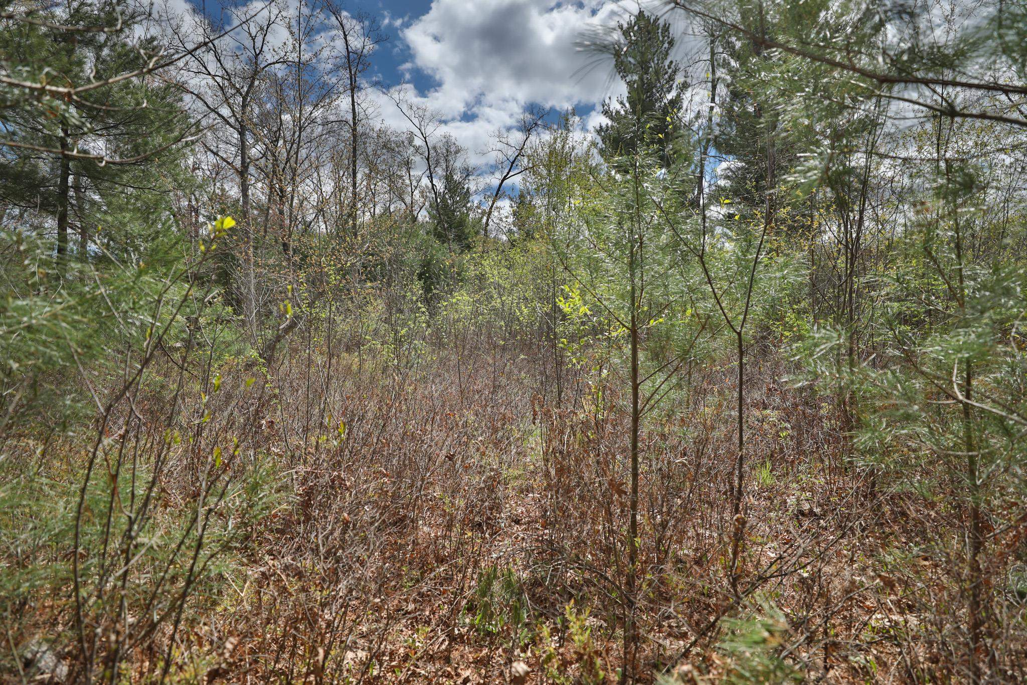 Lot 1 Grayling Avenue