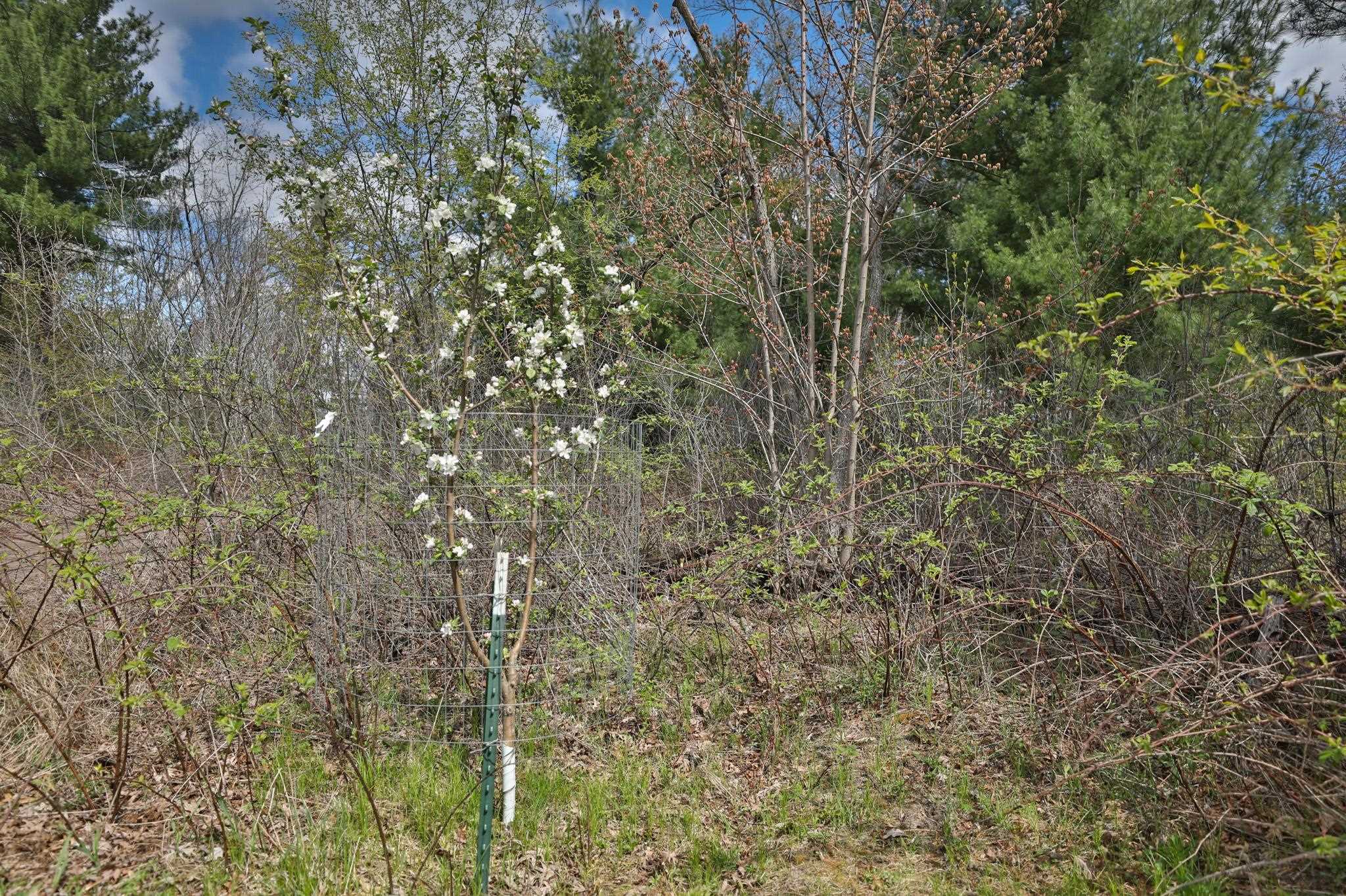 Lot 2 Grayling Avenue