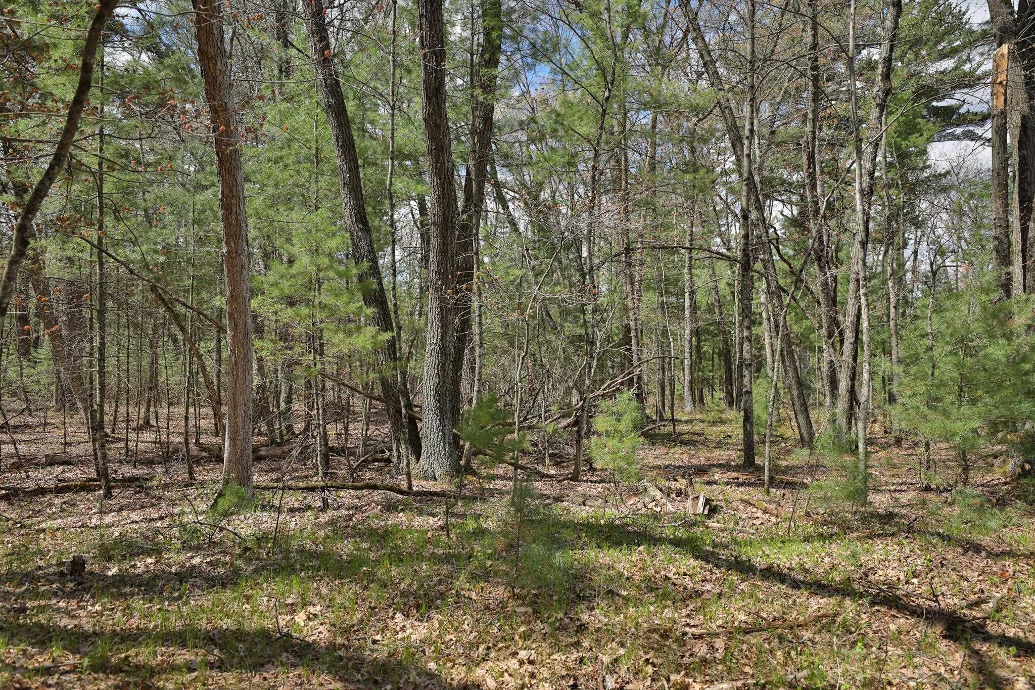Lot 2 Grayling Avenue