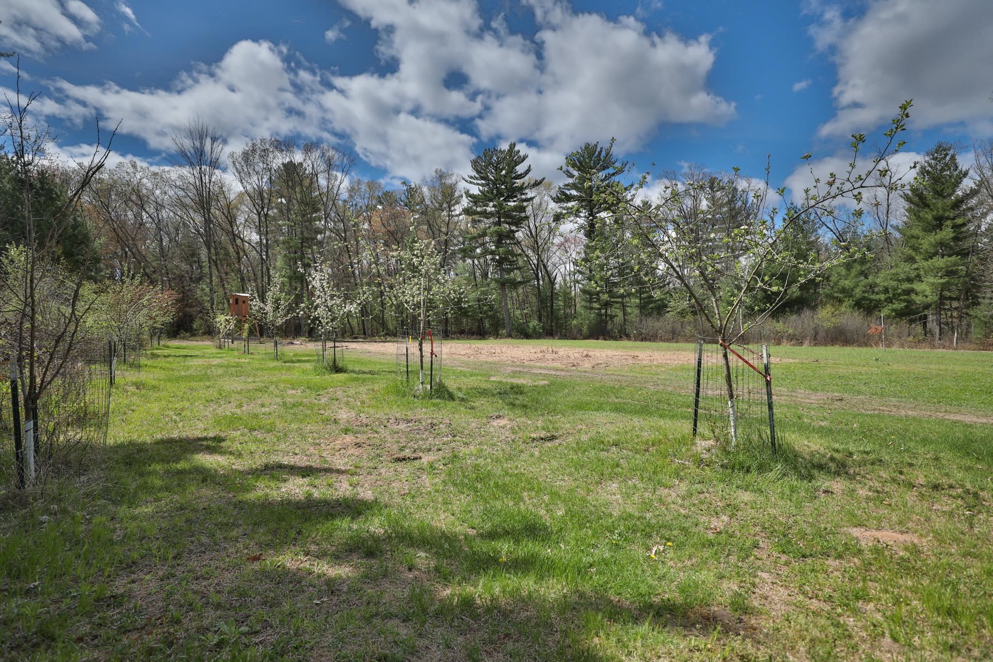 Lot 2 Grayling Avenue