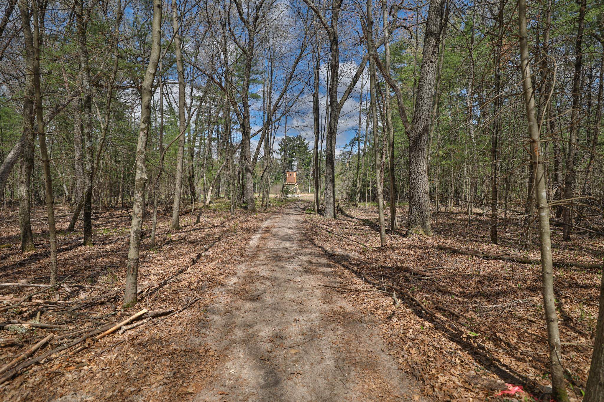 Lot 2 Grayling Avenue