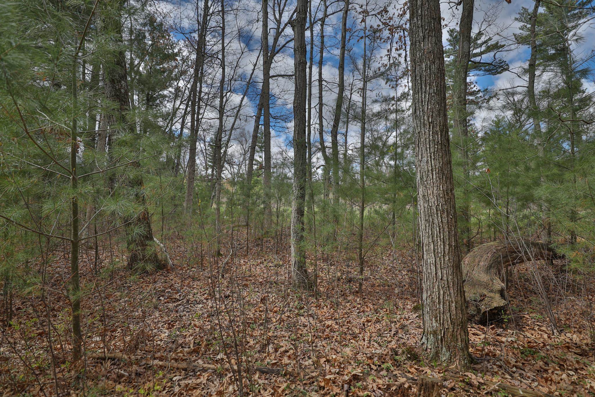 Lot 2 Grayling Avenue