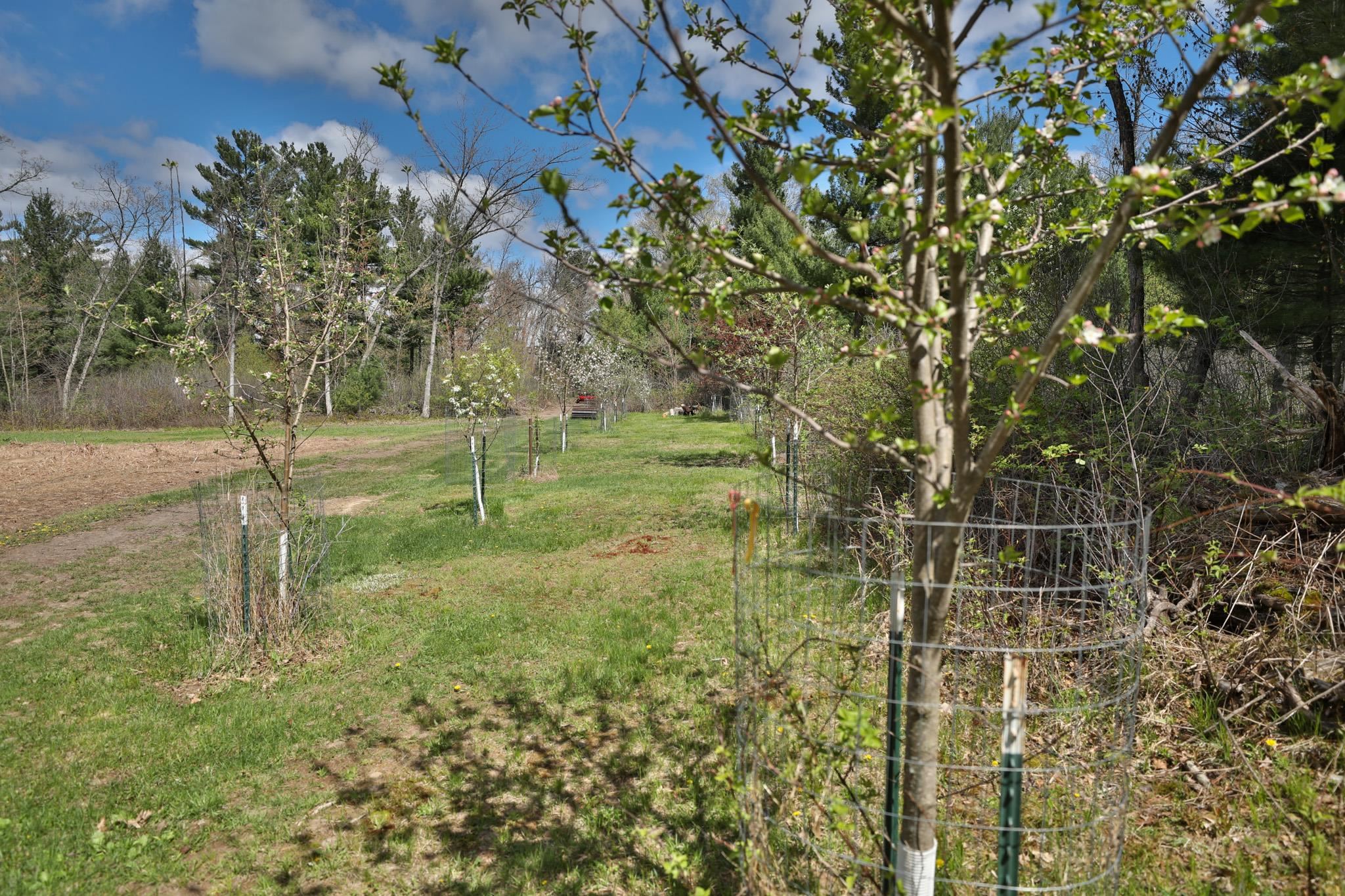 Lot 2 Grayling Avenue