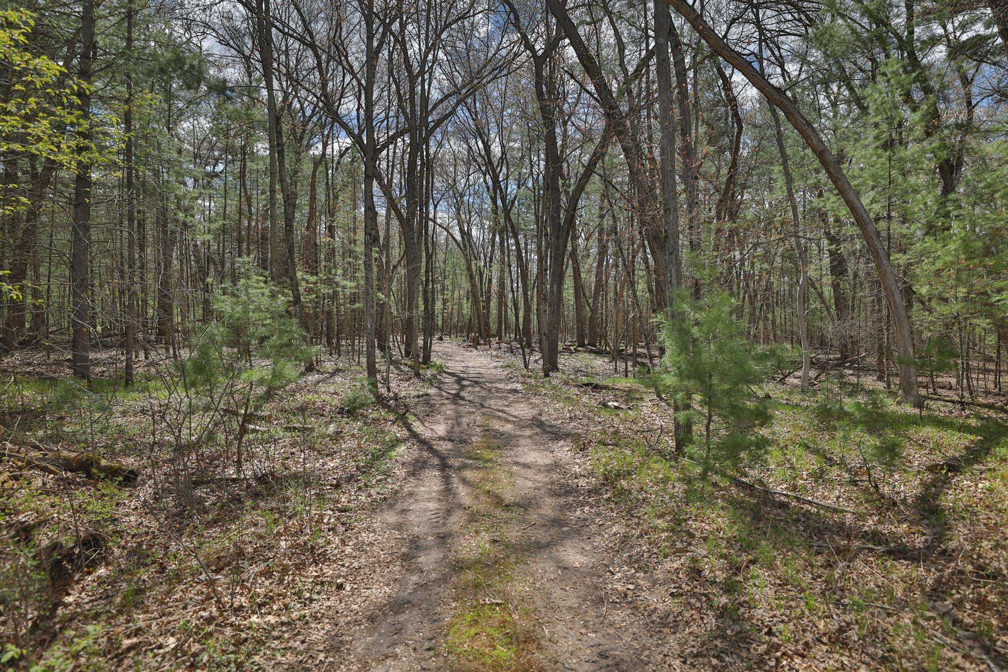 Lot 2 Grayling Avenue
