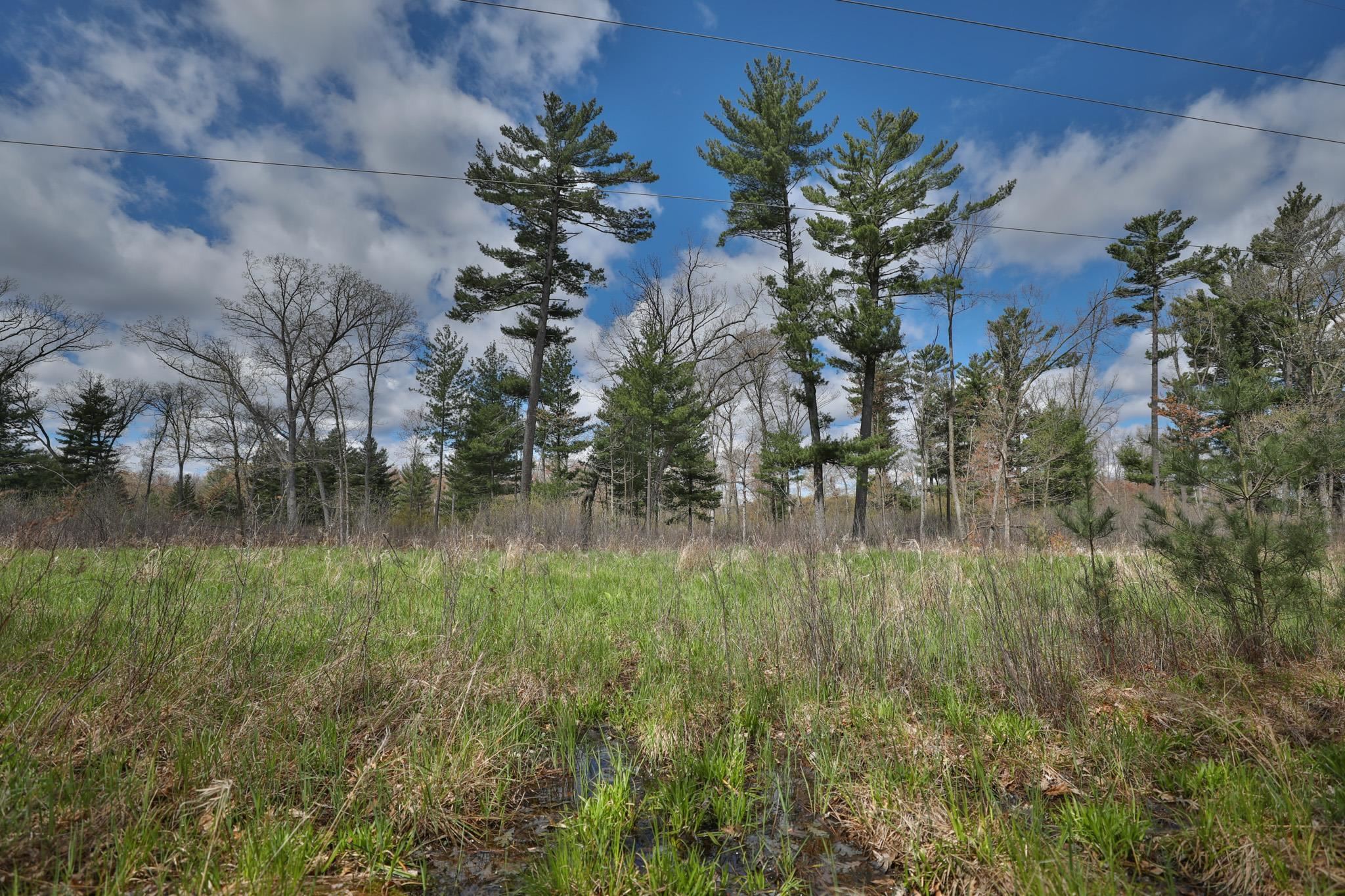 Lot 2 Grayling Avenue