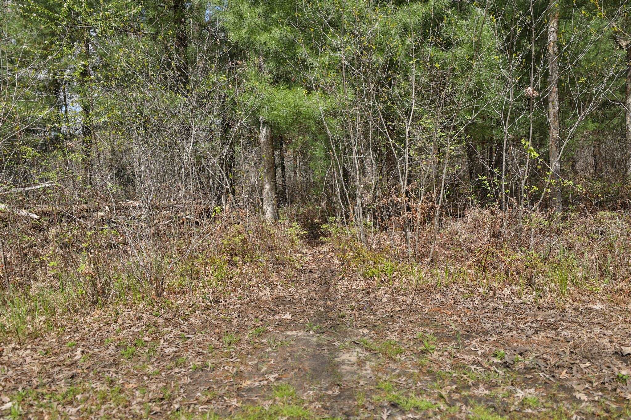 Lot 2 Grayling Avenue
