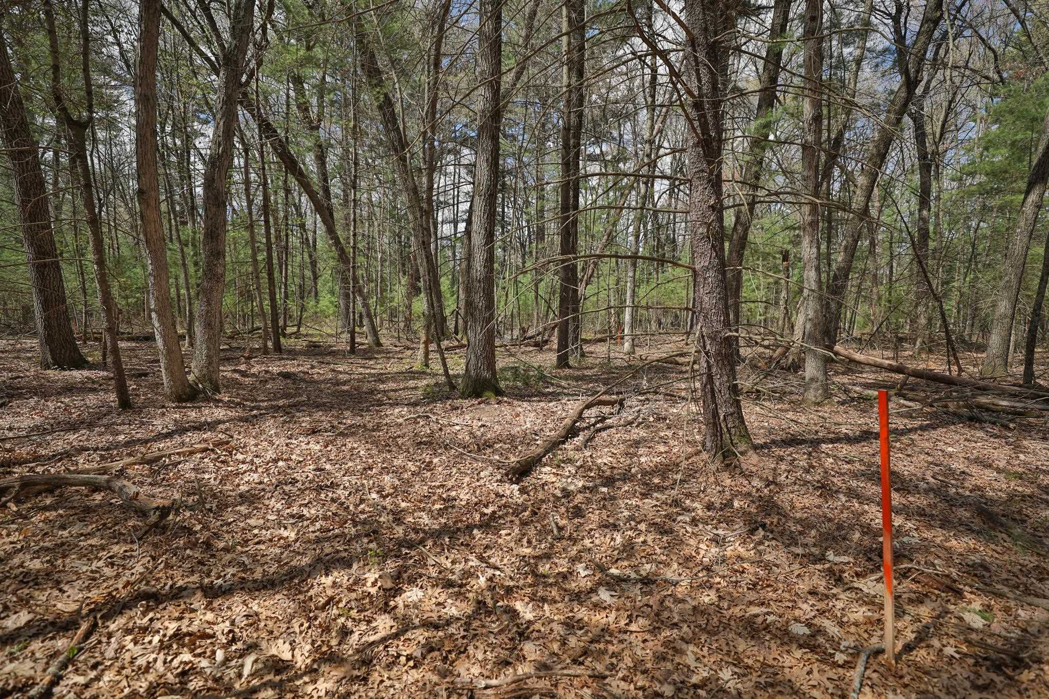 Lot 2 Grayling Avenue