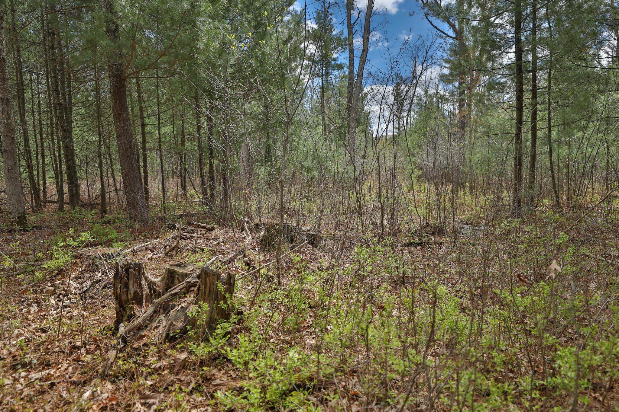 Lot 3 Grayling Avenue