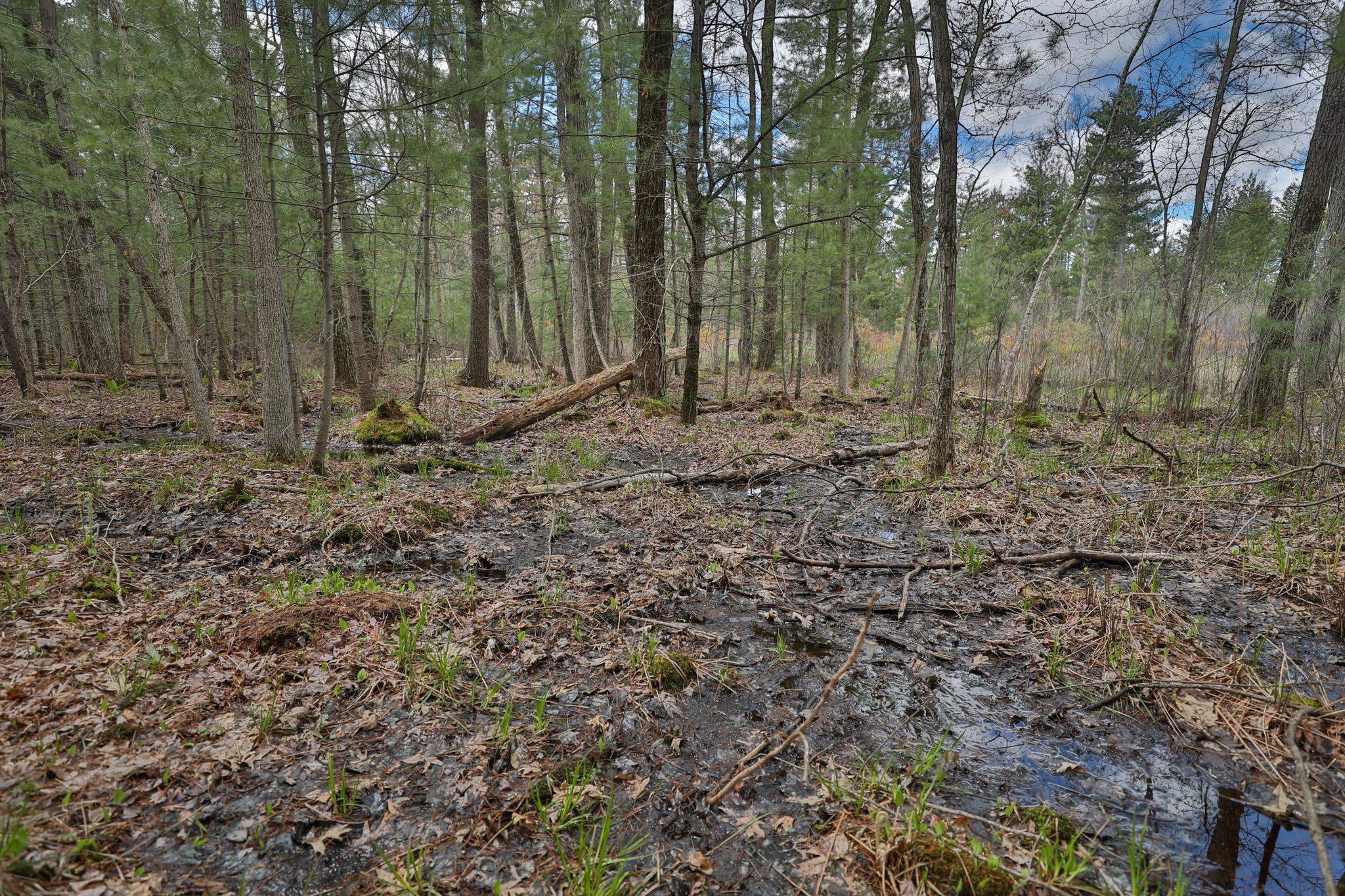Lot 3 Grayling Avenue