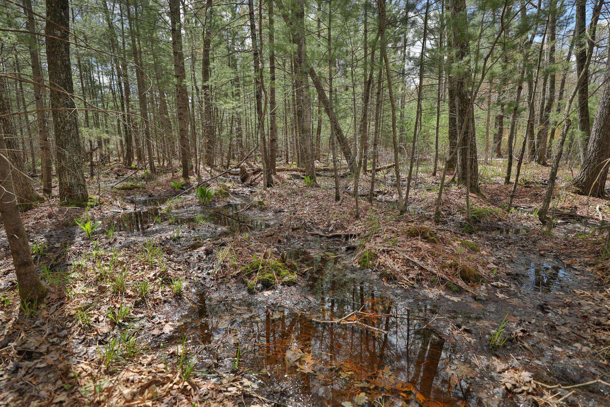Lot 3 Grayling Avenue