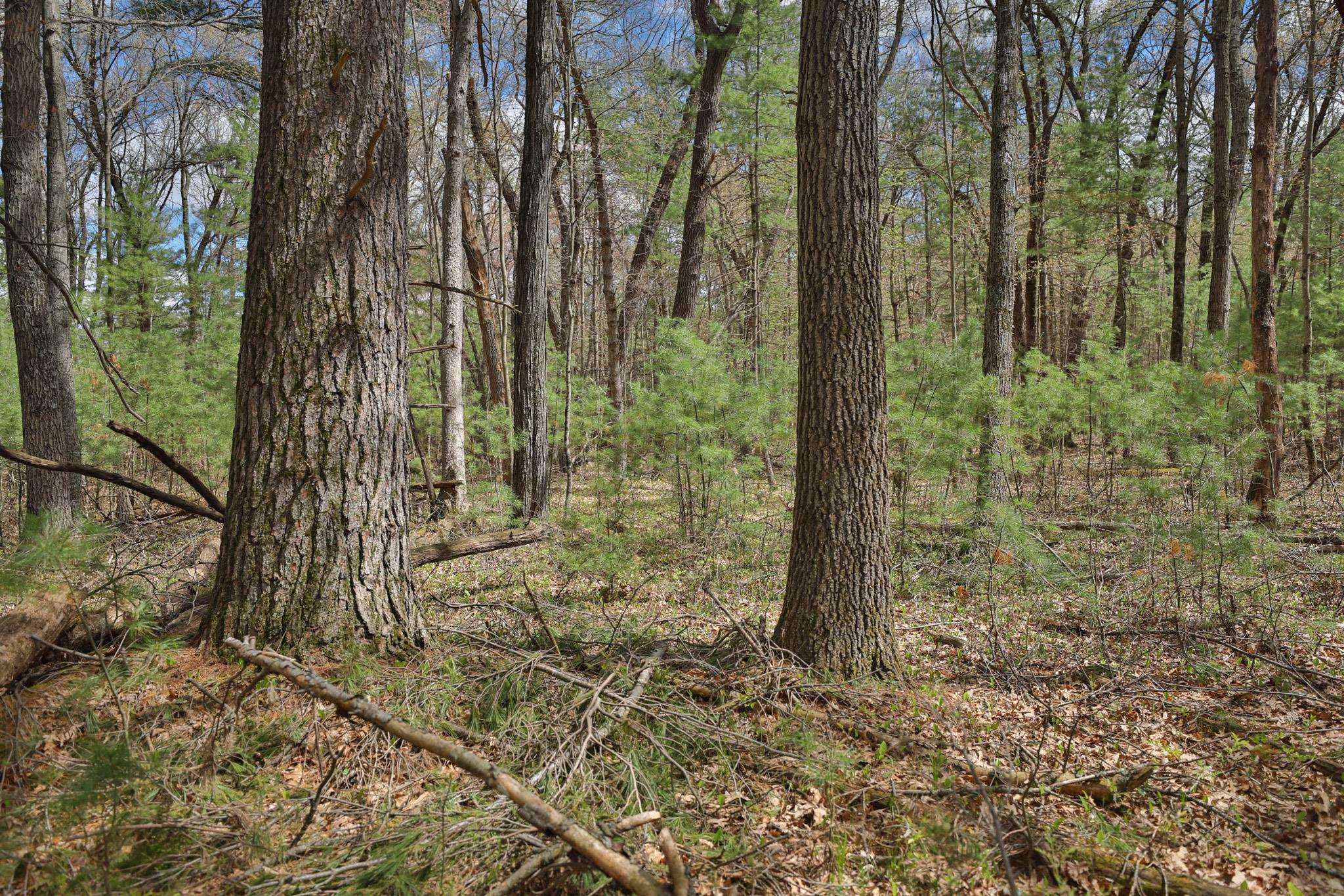 Lot 3 Grayling Avenue