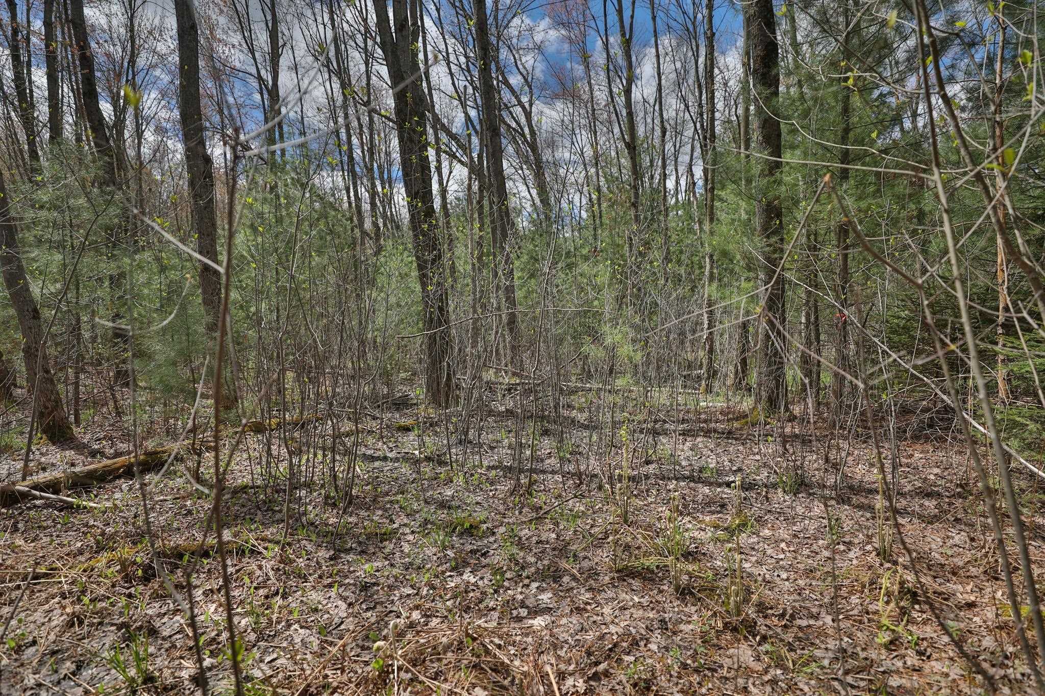 Lot 4 Grayling Avenue