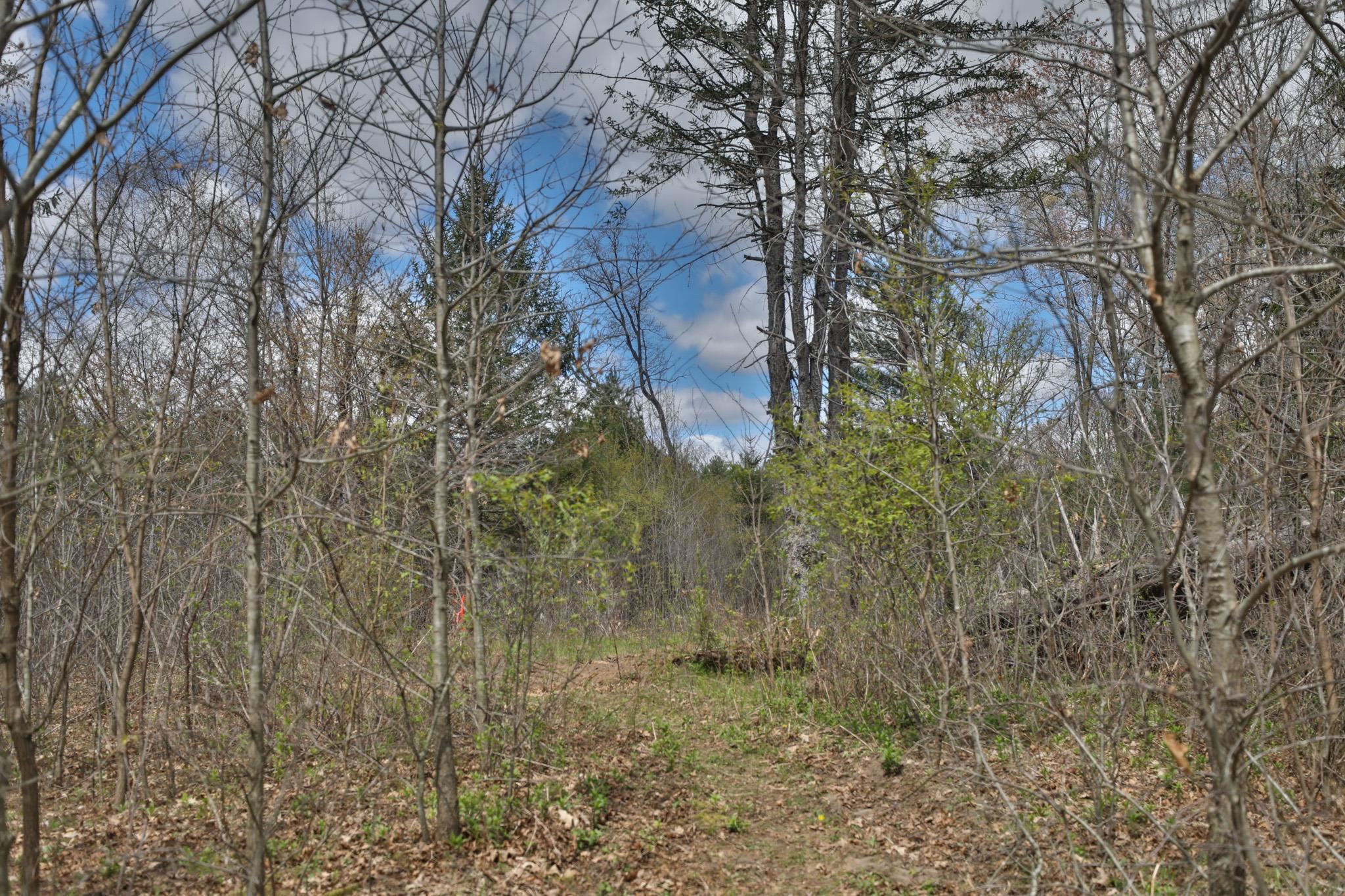 Lot 4 Grayling Avenue