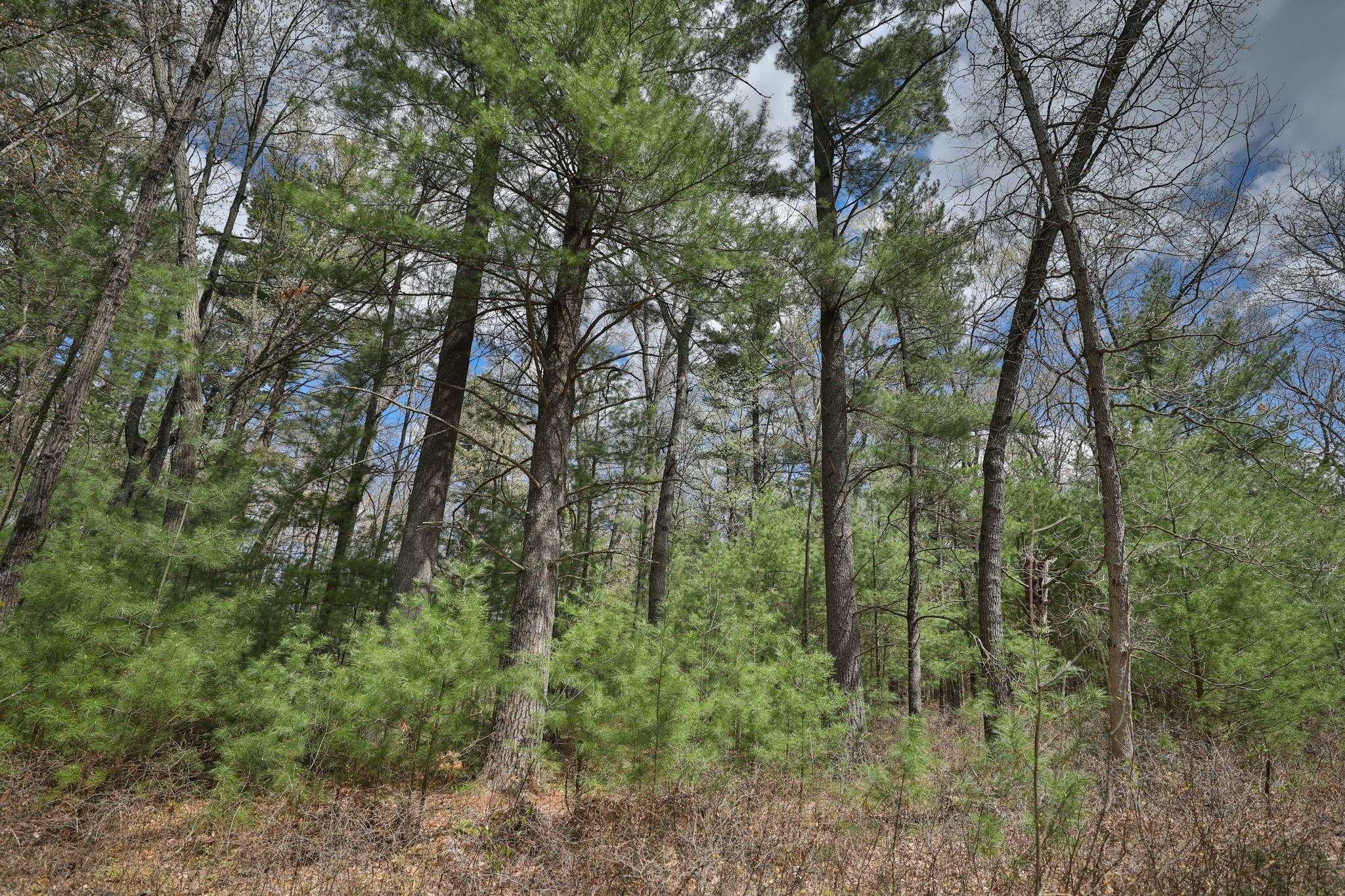 Lot 4 Grayling Avenue