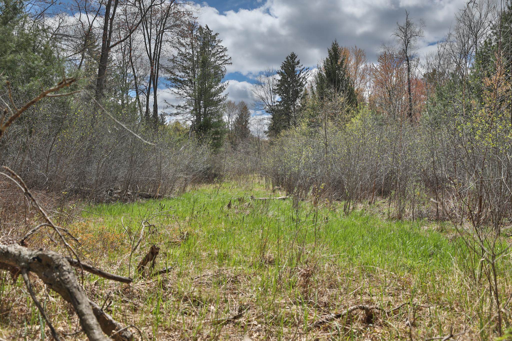 Lot 4 Grayling Avenue