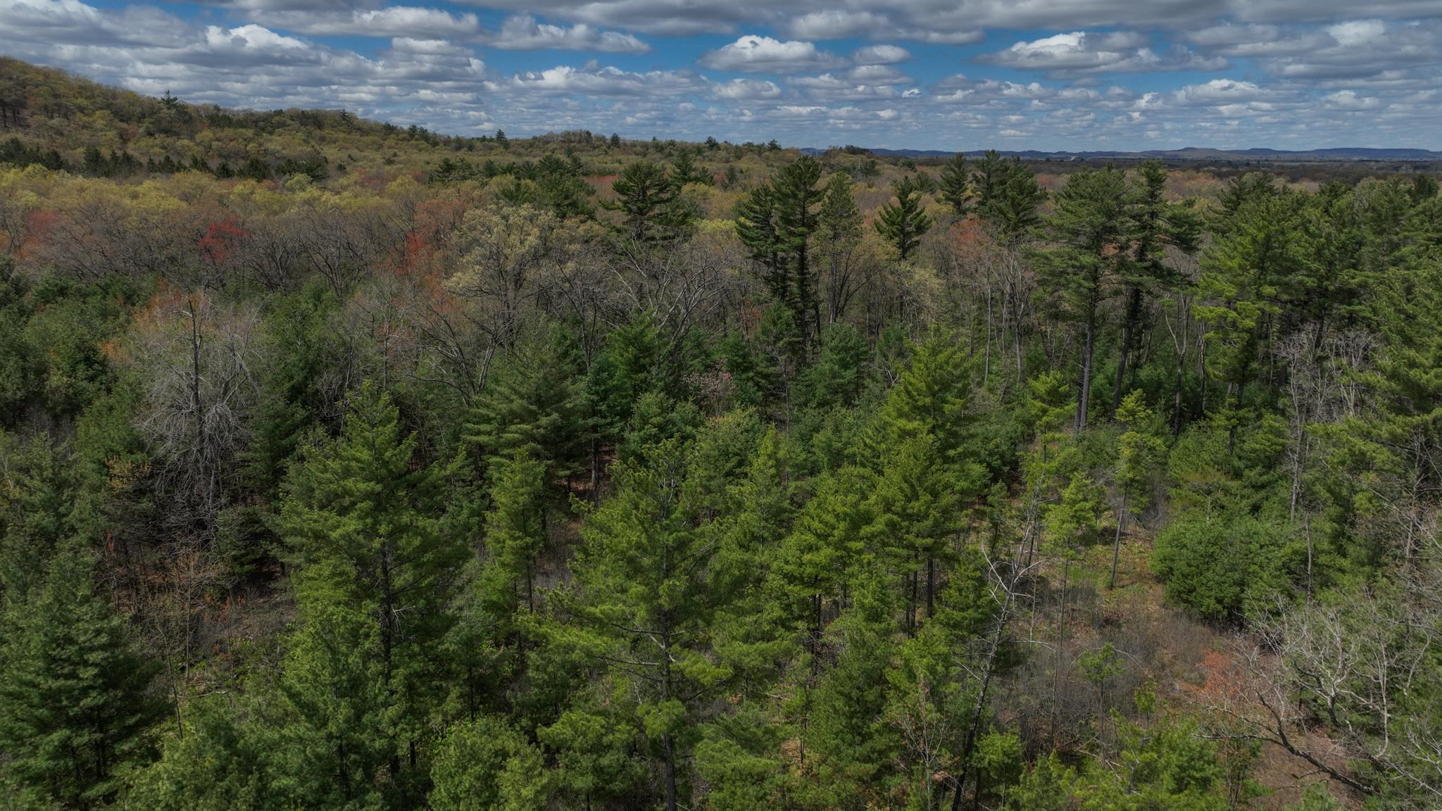 Lot 4 Grayling Avenue