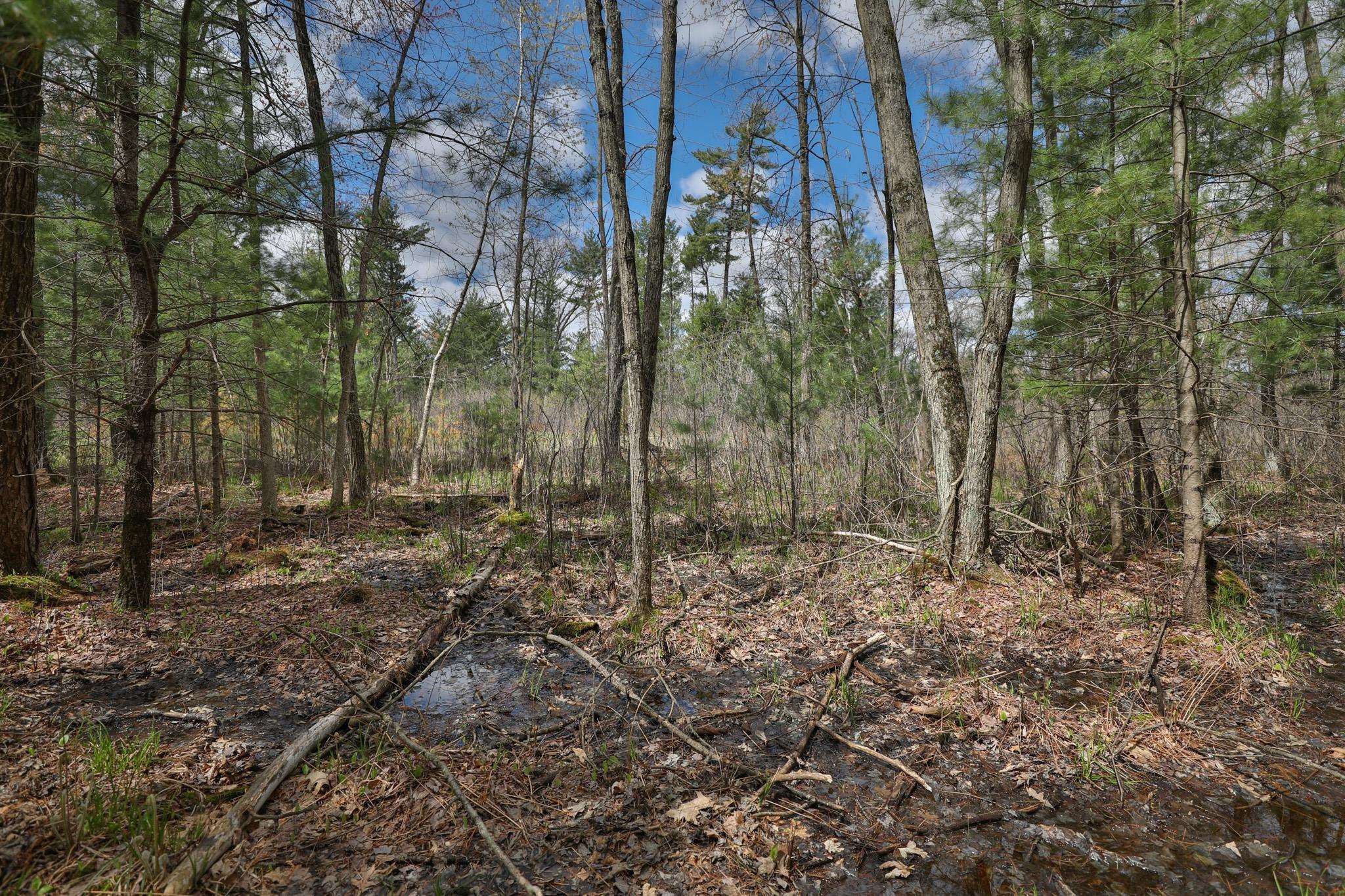 Lot 4 Grayling Avenue