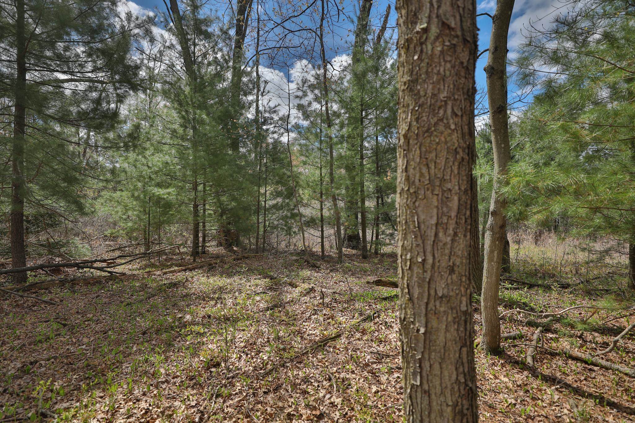 Lot 4 Grayling Avenue