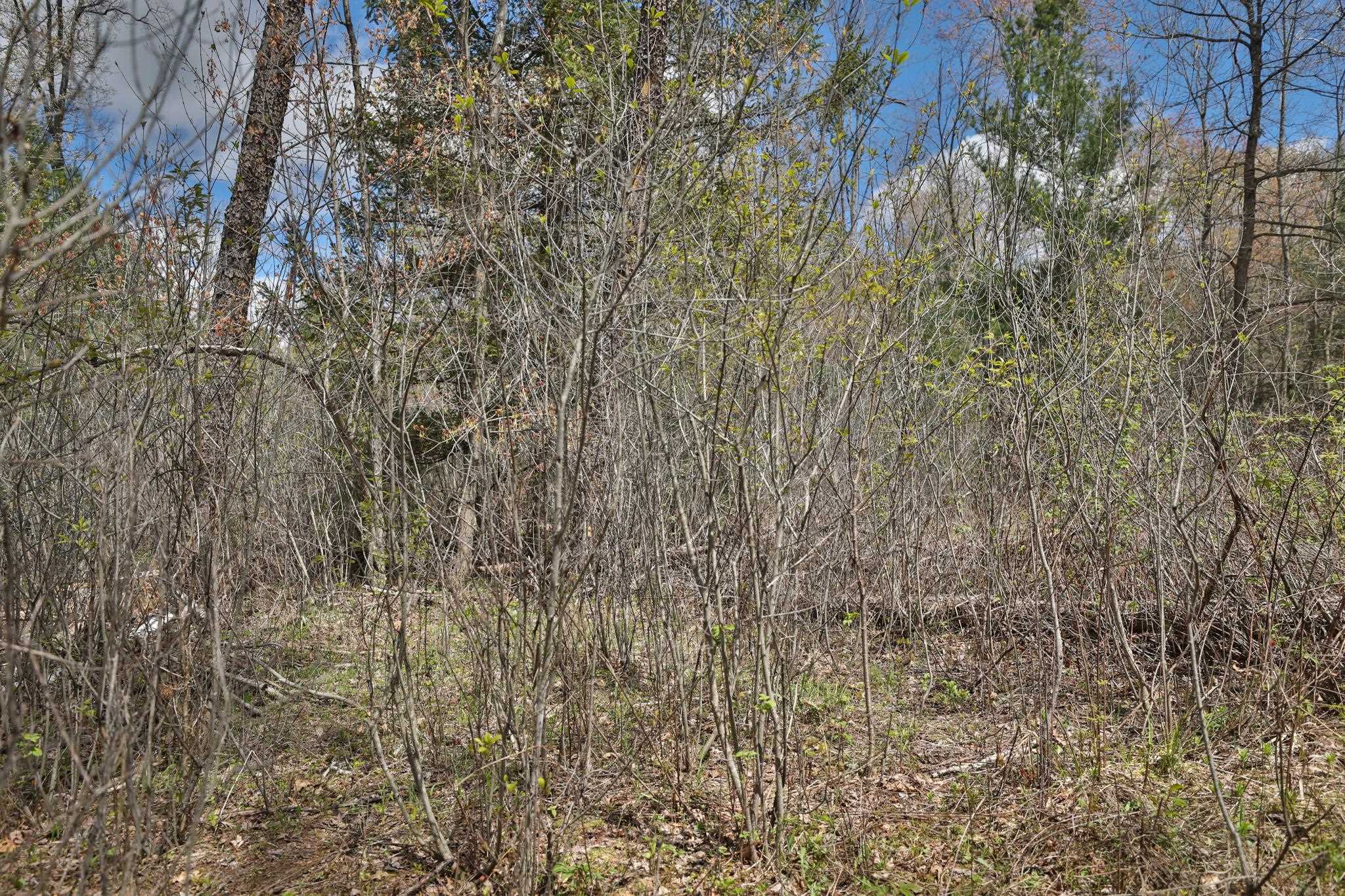 Lot 4 Grayling Avenue