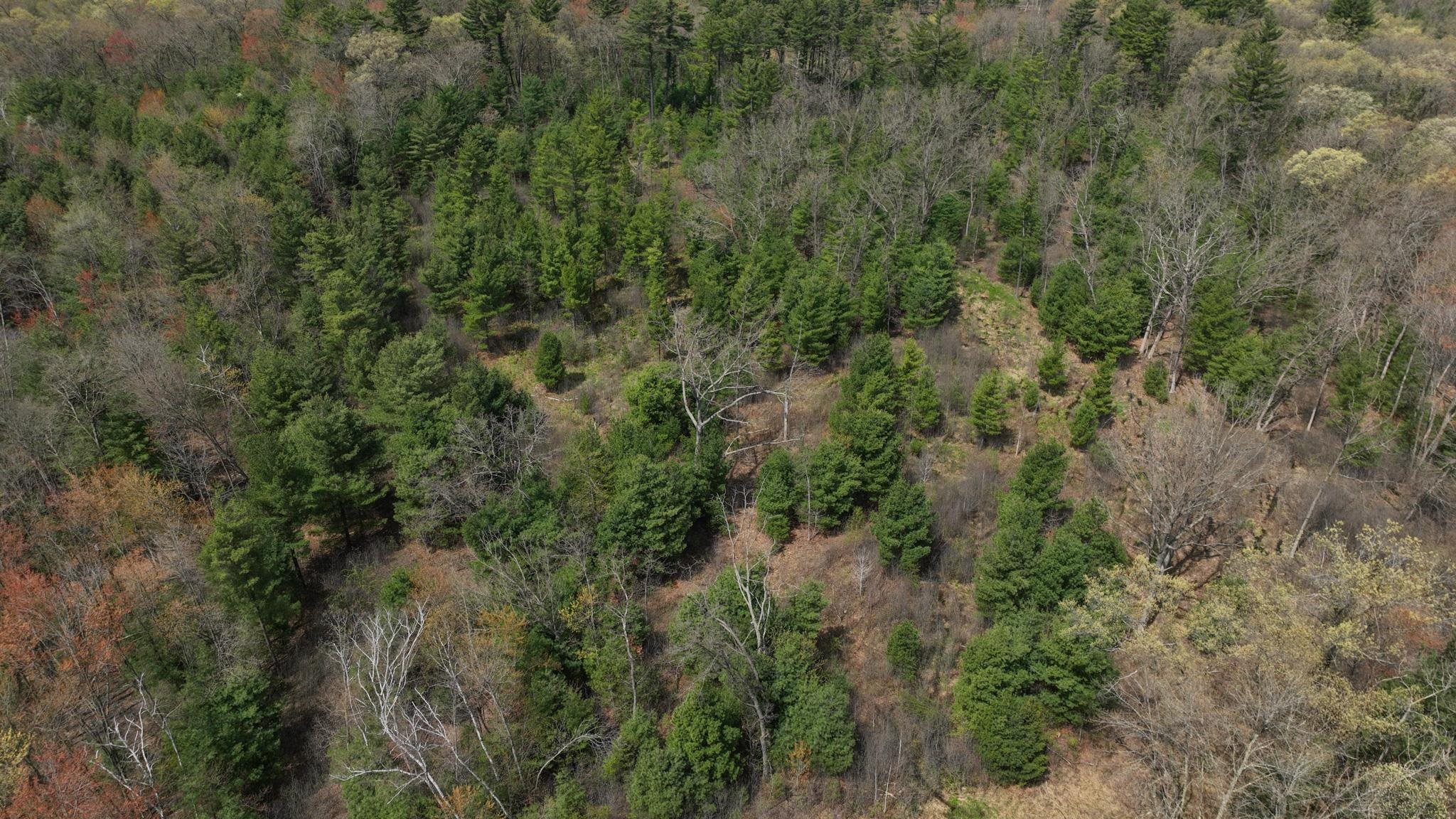 Lot 4 Grayling Avenue